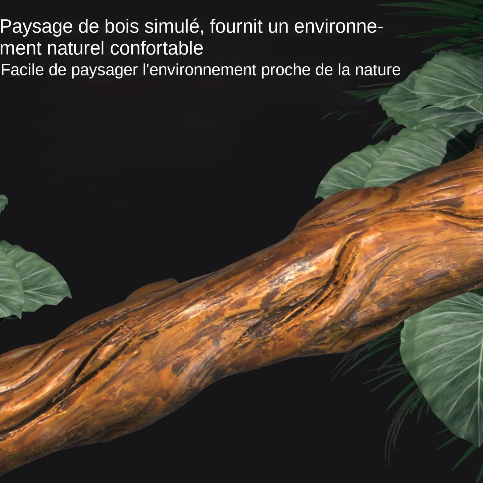 Branches de Bois Épaisses pour Reptile – Décorations d'Habitat de Serpent, Branches Grimpantes de Terrarium en Bois, Ornement de Tronc d'Arbre