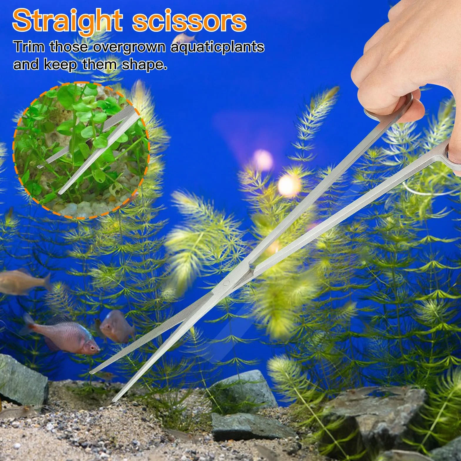 Aquarium Aquascaping Kit 5 en 1 INOX Ciseaux Pinces Outils Set