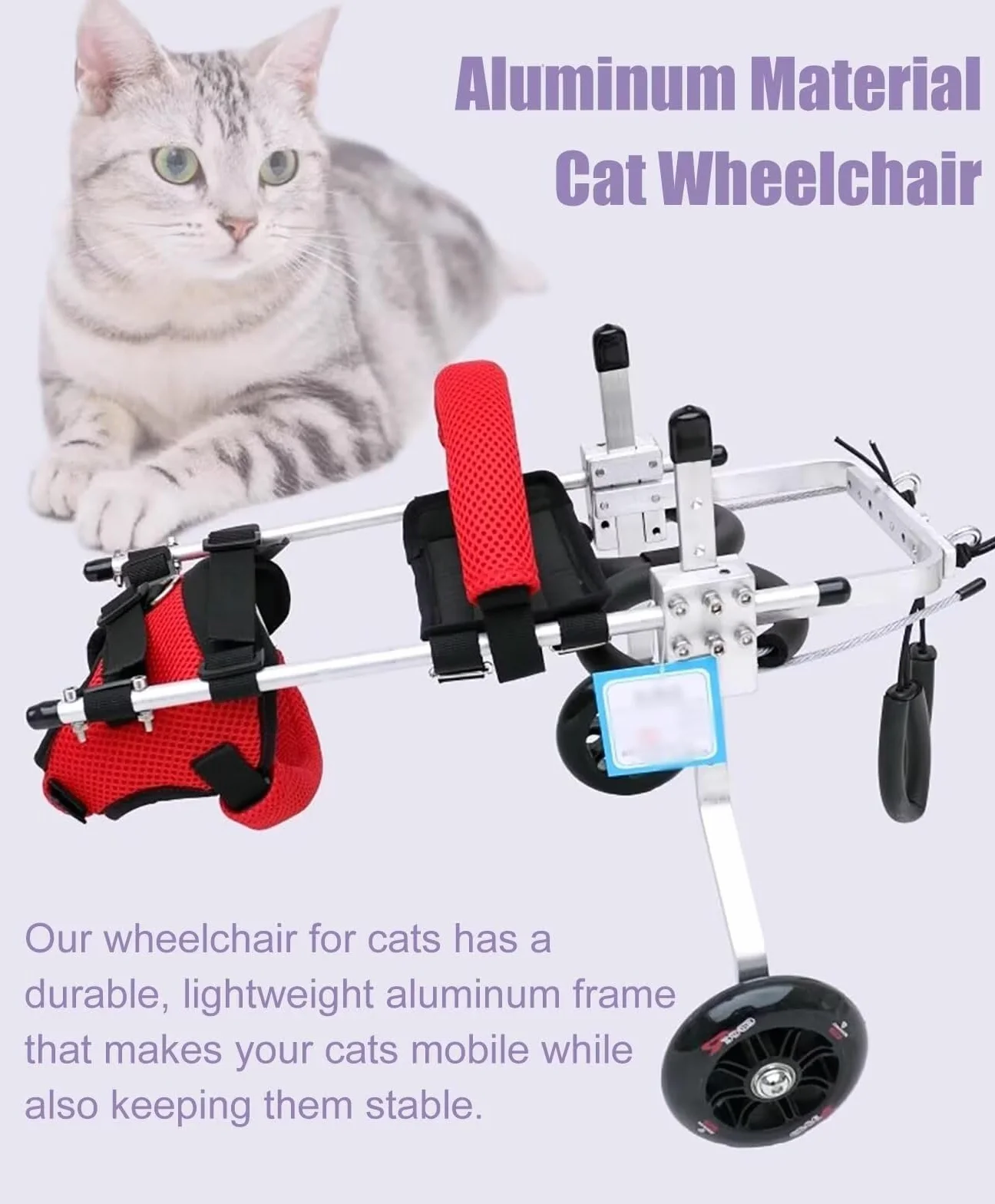 Fauteuil roulant pour chat paralysie patte arrière aluminium PET Walking Equipment Rehab trainer taille M