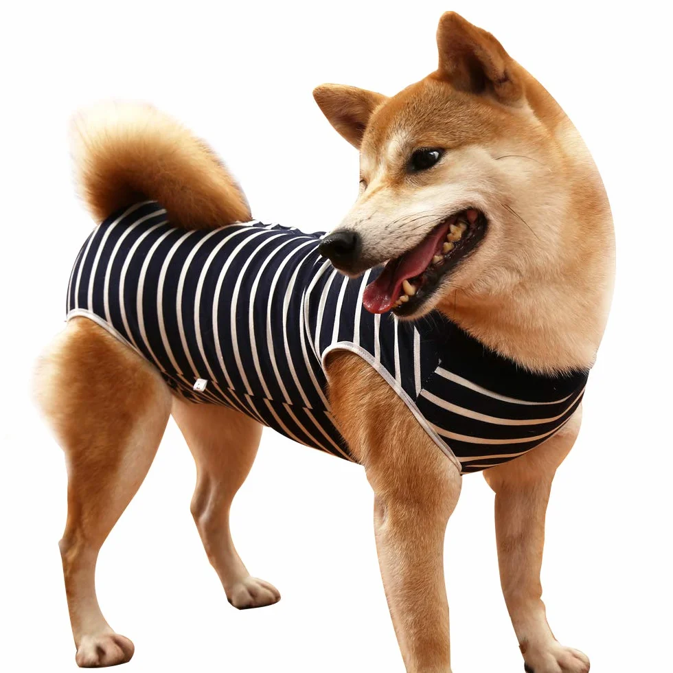 LIANZIMAU Combinaison de Récupération Chirurgicale pour Chien Anti-lécher Costume Protecteur Blessures Abdominales
