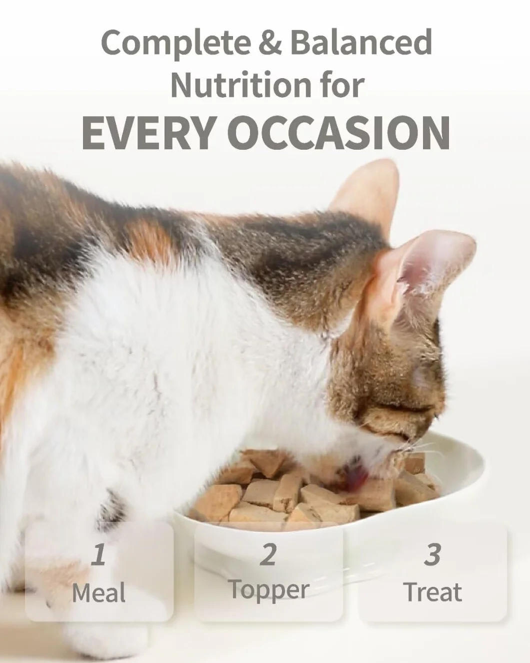 Croquettes lyophilisées pour Chats au Lapin 400 g
