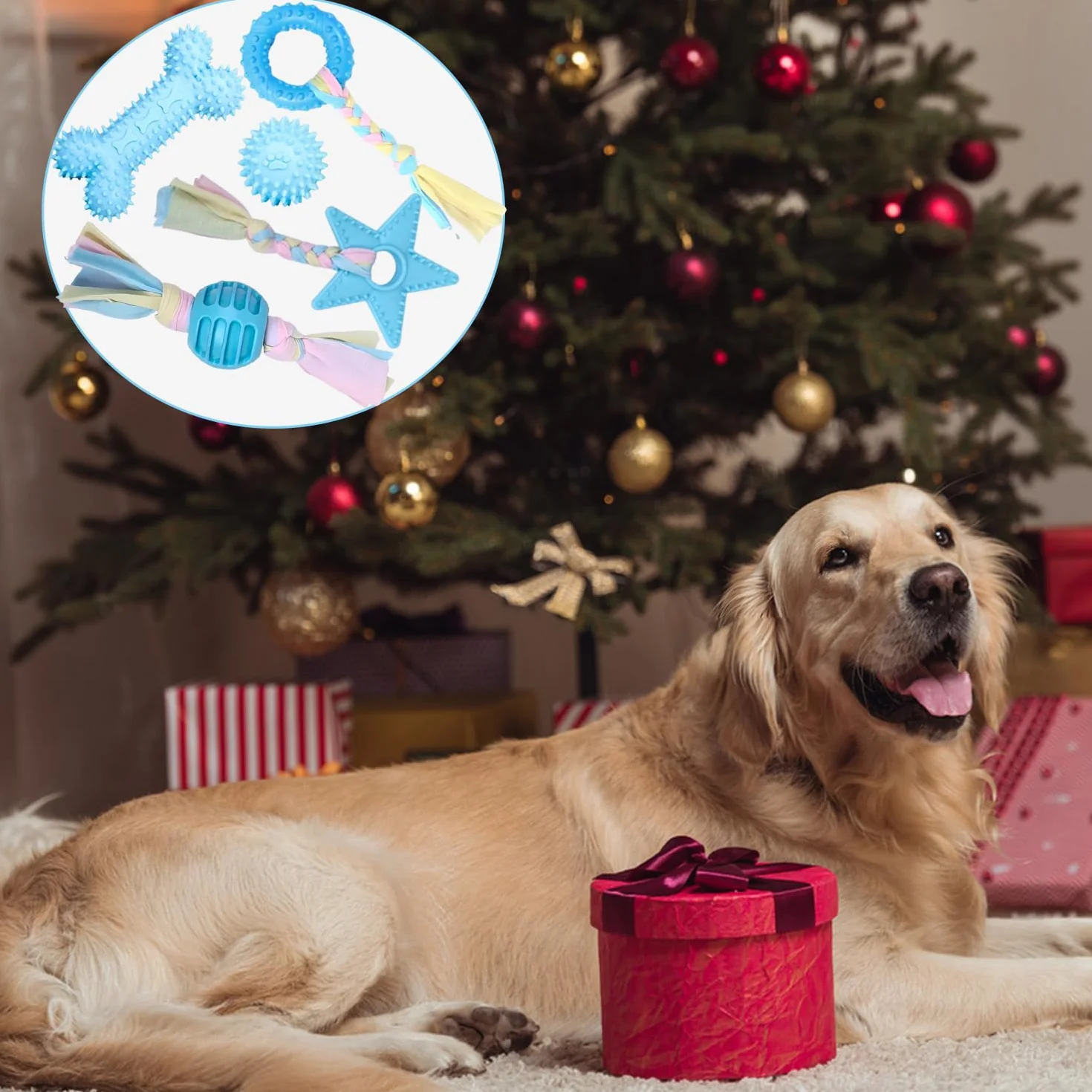 Jouet Interactif Chien avec Corde et Balle, Jouets Dentition en Coton pour Chiens