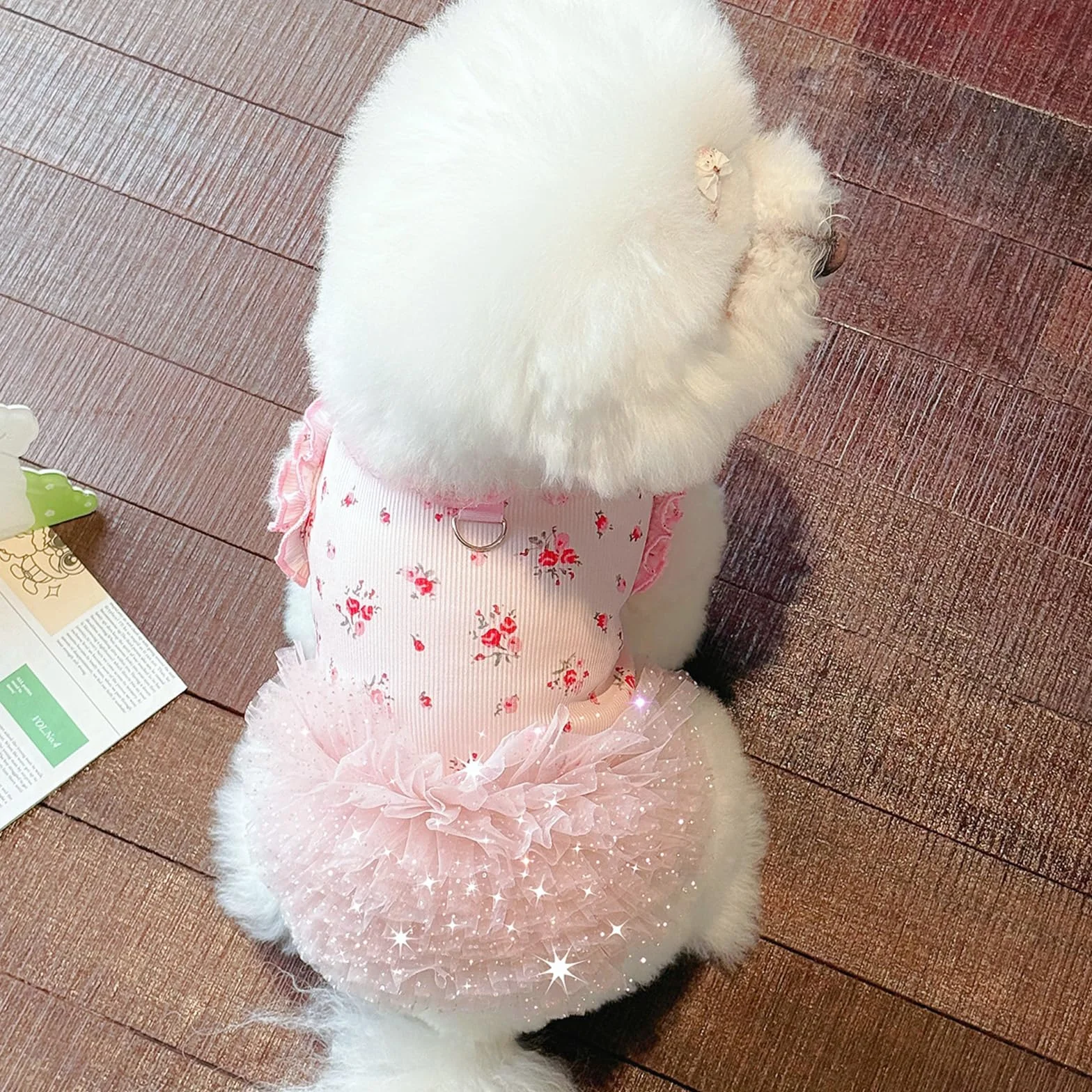 Robe florale avec anneau en D pour petits chiens et chats été intérieur extérieur