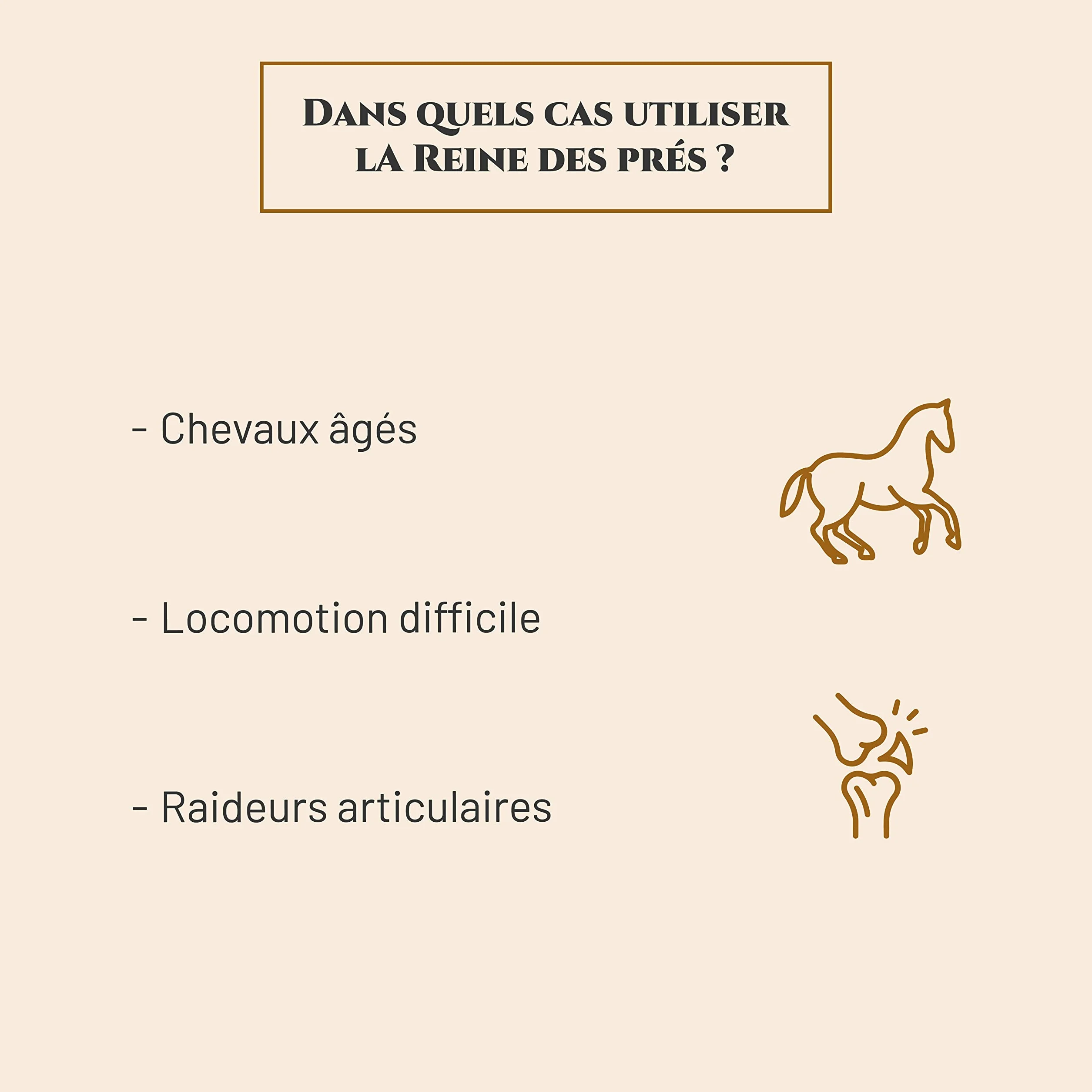 Reine des PRÉS Complément nutritionnel Cheval Seau 800 g Confort articulaire