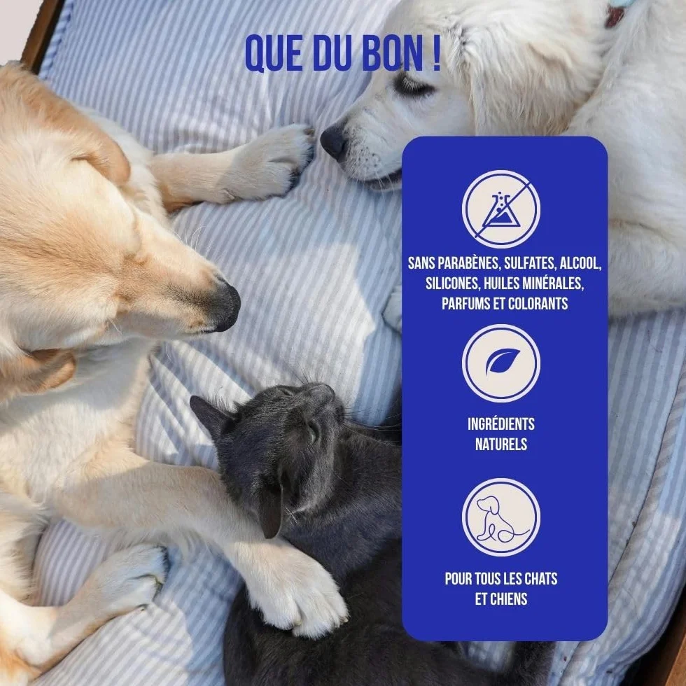 Spray Dentaire Chien & Chat 100ml – Haleine Fraîche, Anti Plaque, Anti Tarte – Formule Prébiotique Naturelle