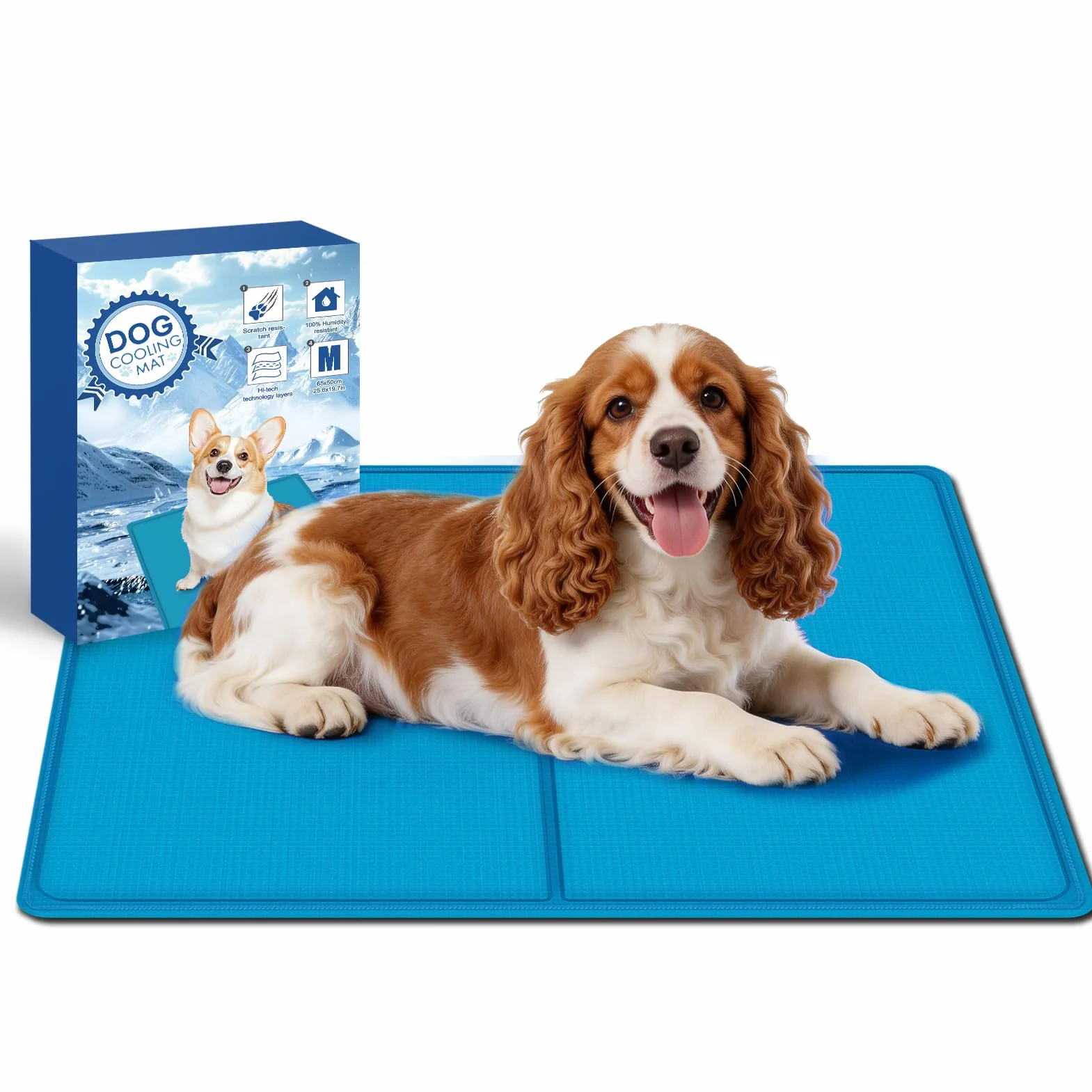 Tapis Rafraichissant Chien 65 x 50 cm Anti-Rayures Non Toxique Durable Pliable