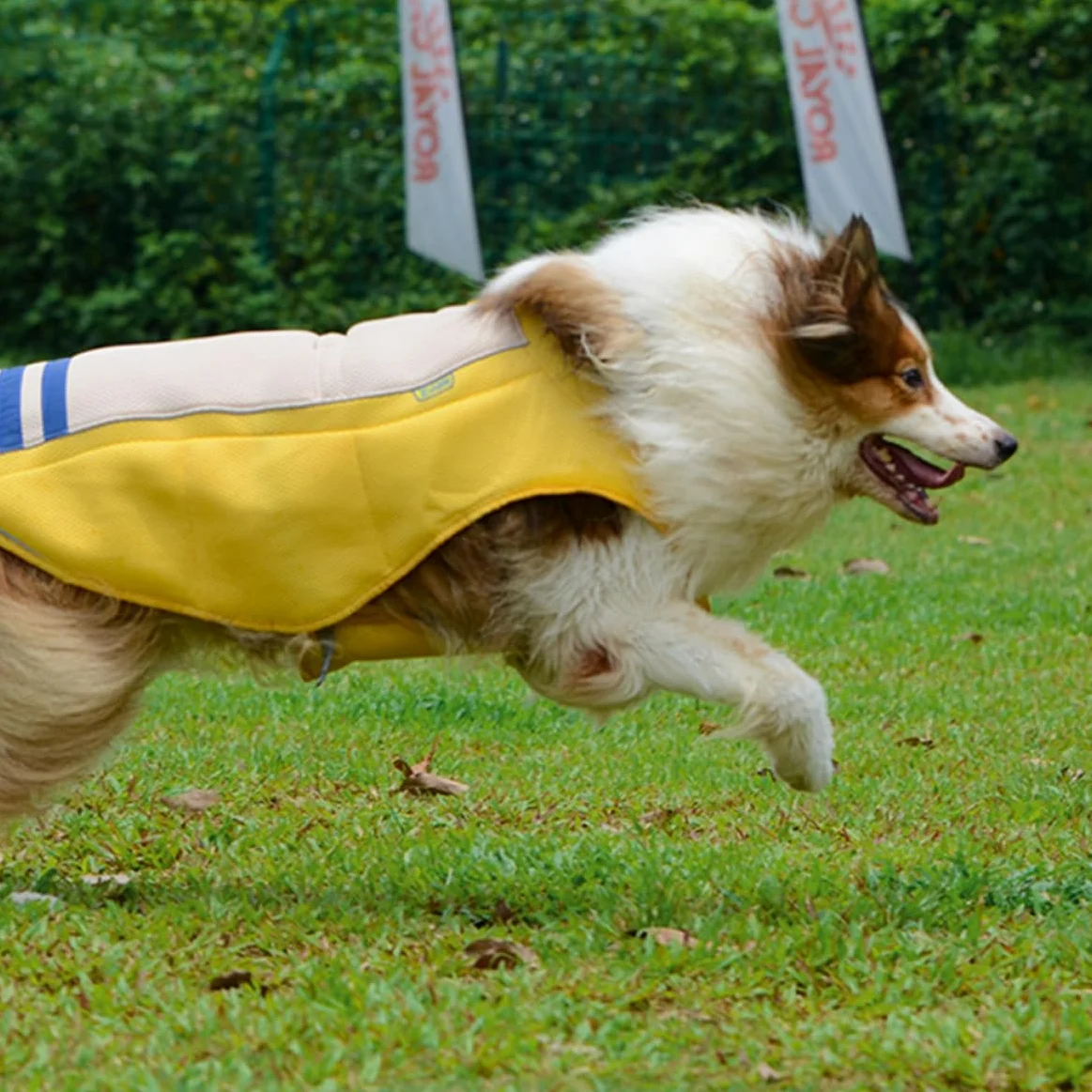 Gilet D'été Jaune en Polyester pour Chien Rafraîchissant Veste Respirante et Anti-Coup de Chaleur, Sorties Quotidiennes et Fêtes Weekend