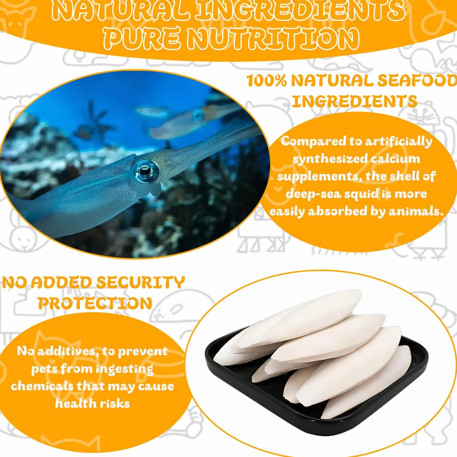 Os de Seiche Naturel 8-12 cm avec Support - Source de Calcium pour Oiseaux, Reptiles, Tortues