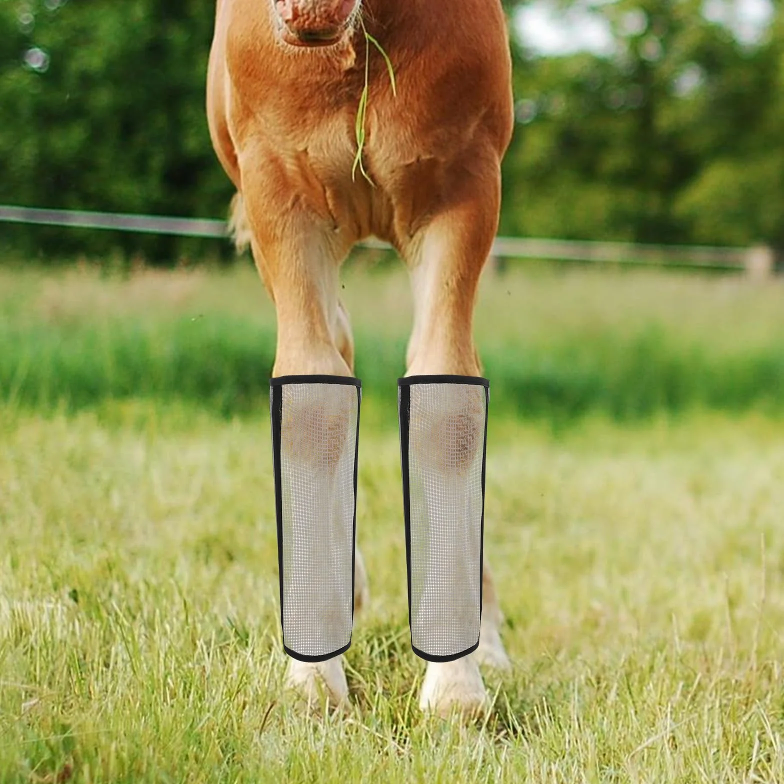 Guêtres Anti Mouche Âne en Maille Respirante Polyester Lot de 4 pour Protection Jambes Cheval