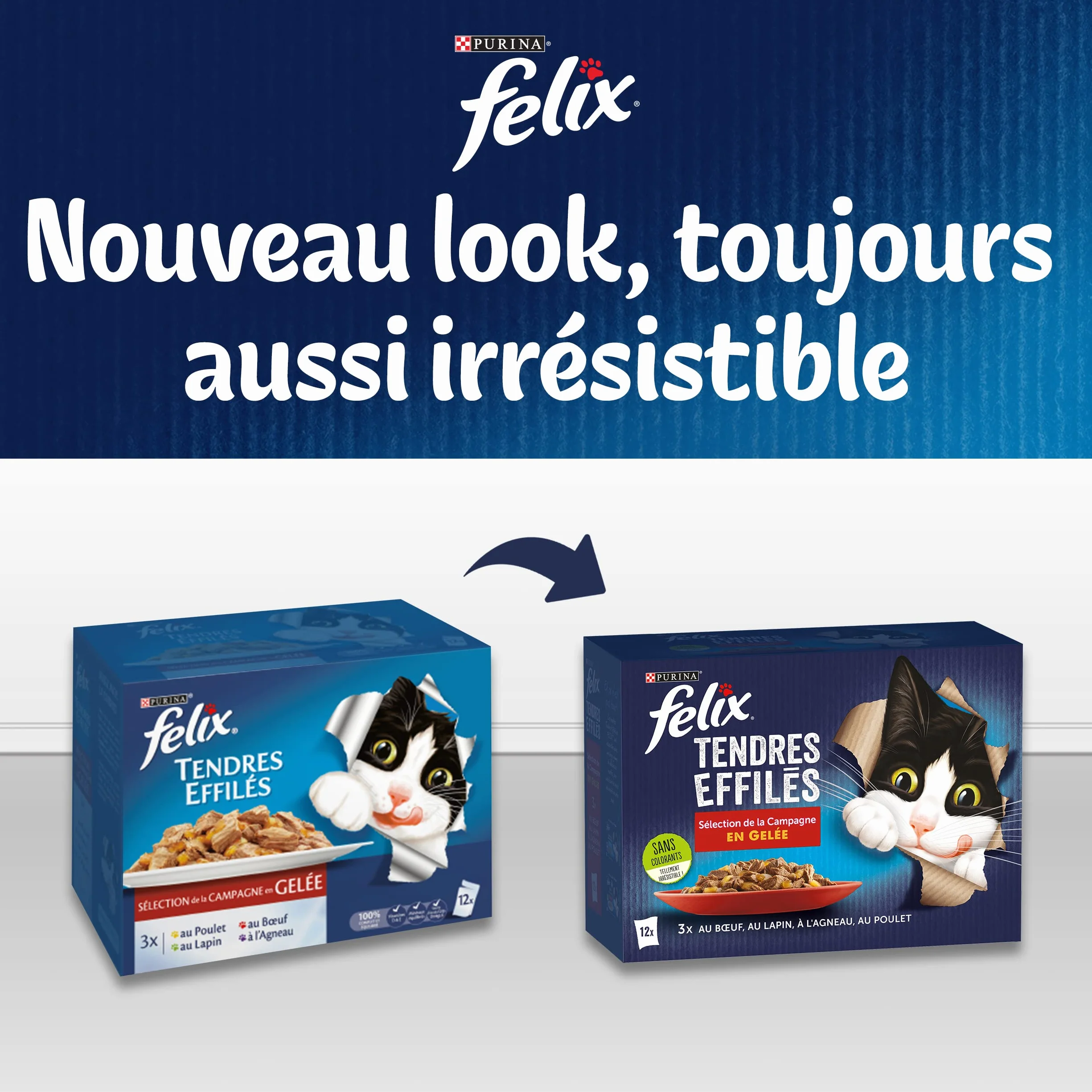 Felix Tendres Effilés Chat Adulte En Gelée 24 x 85g Sélection Mixte aux Légumes Saumon Truite Bœuf Poulet