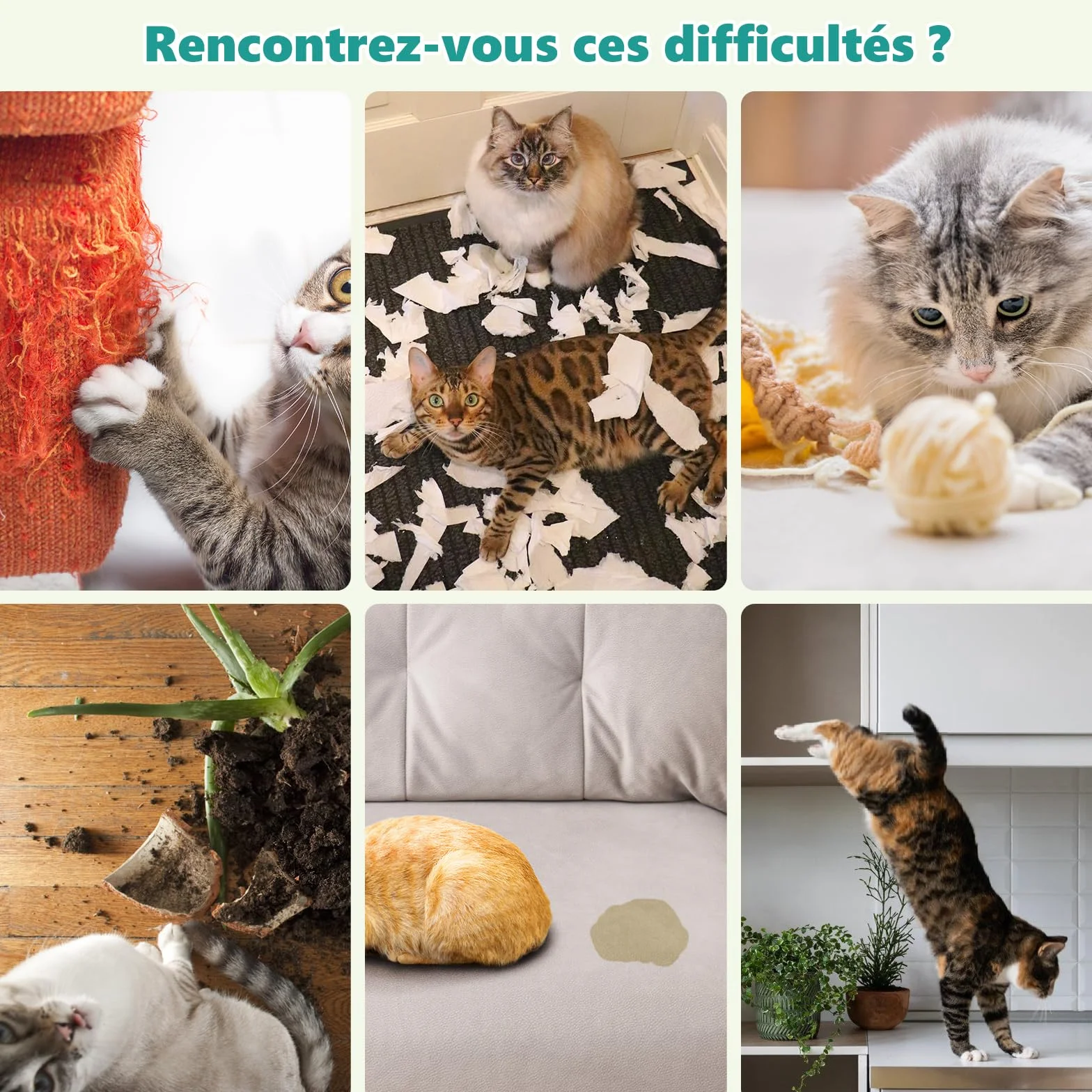 Repulsif Chat Interieur 150 ML Anti Griffure Spray Protéger Meubles Canapé