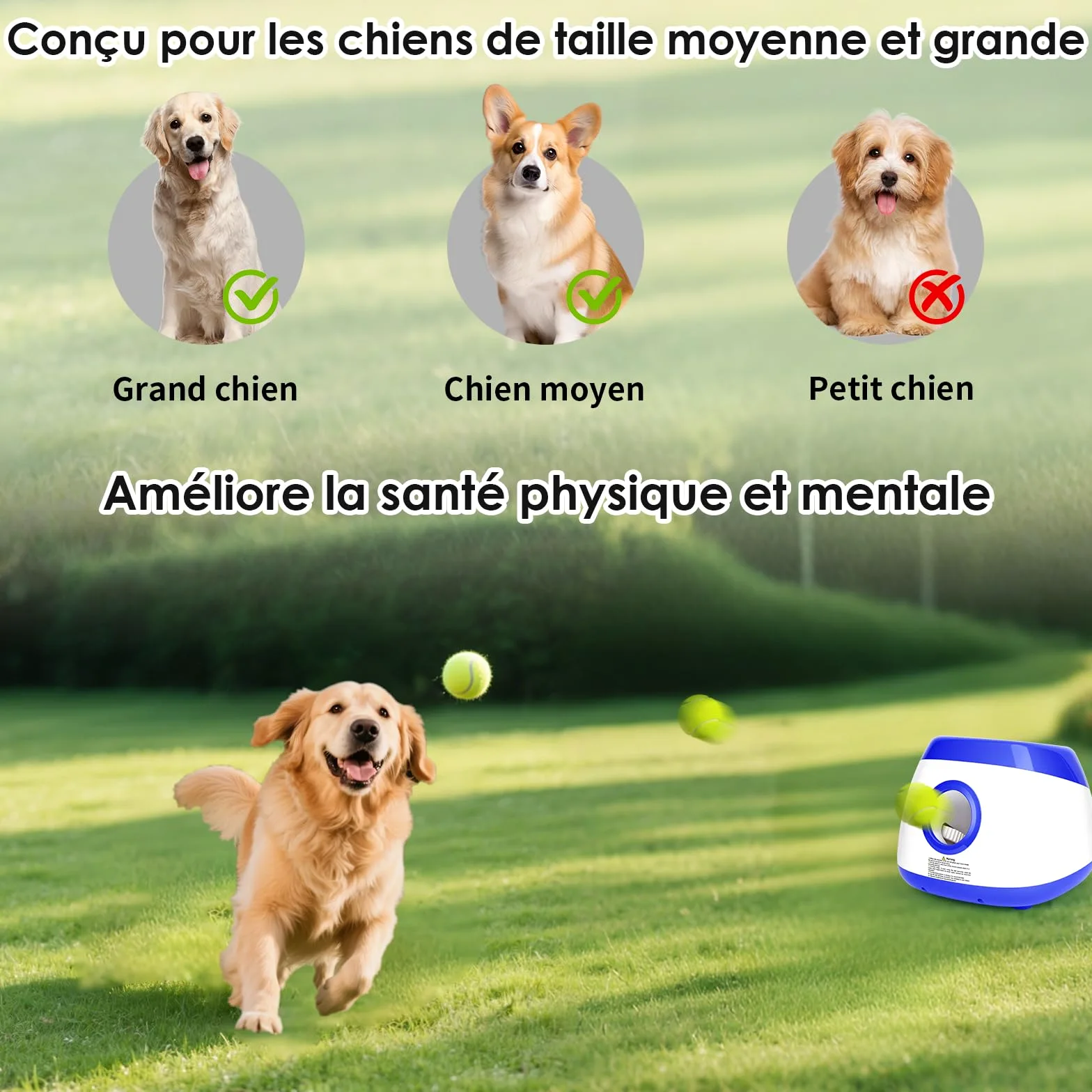 Lanceur de Balle pour Chien Automatique Jeu Intelligence Chien Balles de Tennis pour Chiens de Grand et Moyenne Taille