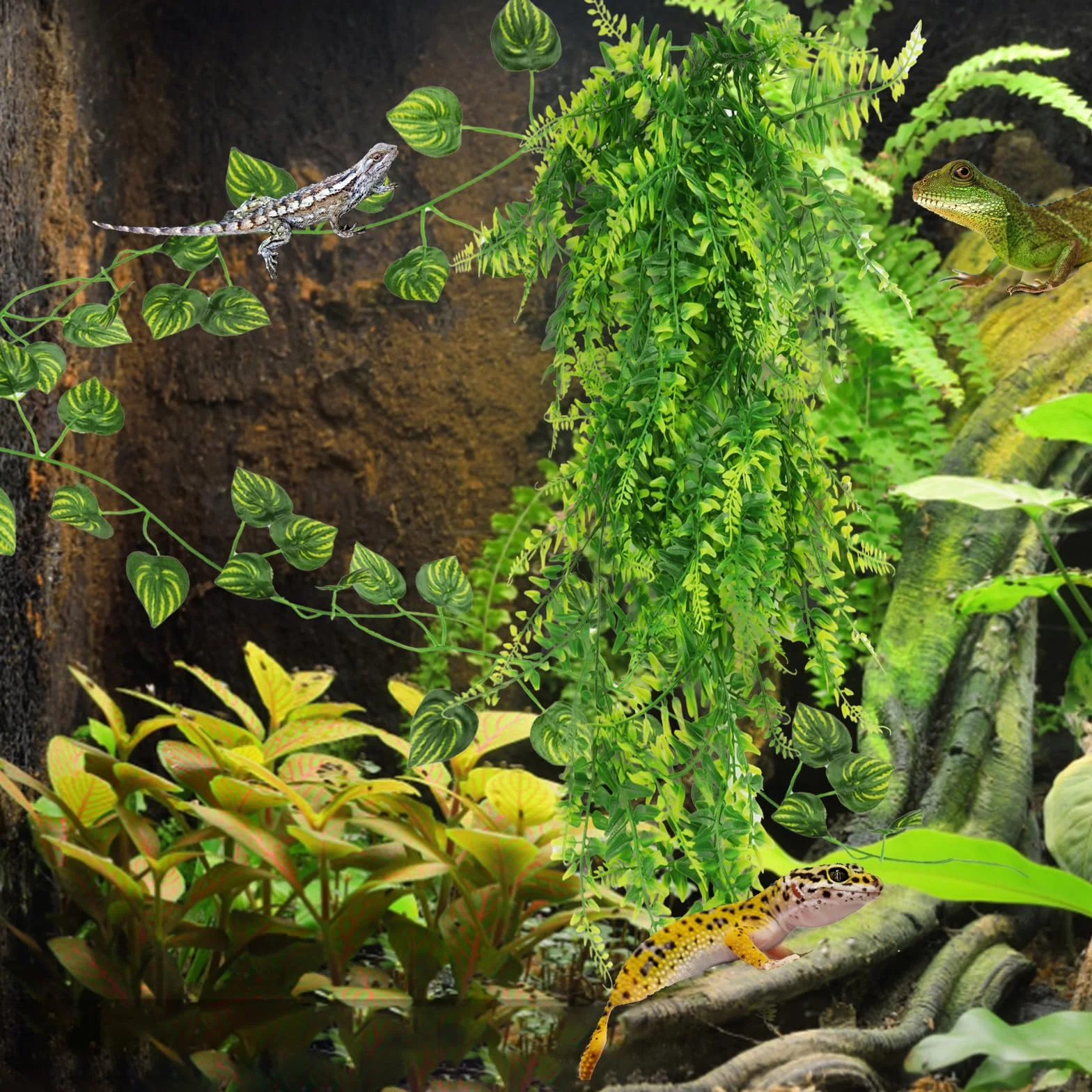 QUOZUO Dragon Barbu Hamac Naturel pour Reptile avec Vignes d'Escalade et Branche Décorative Terrarium