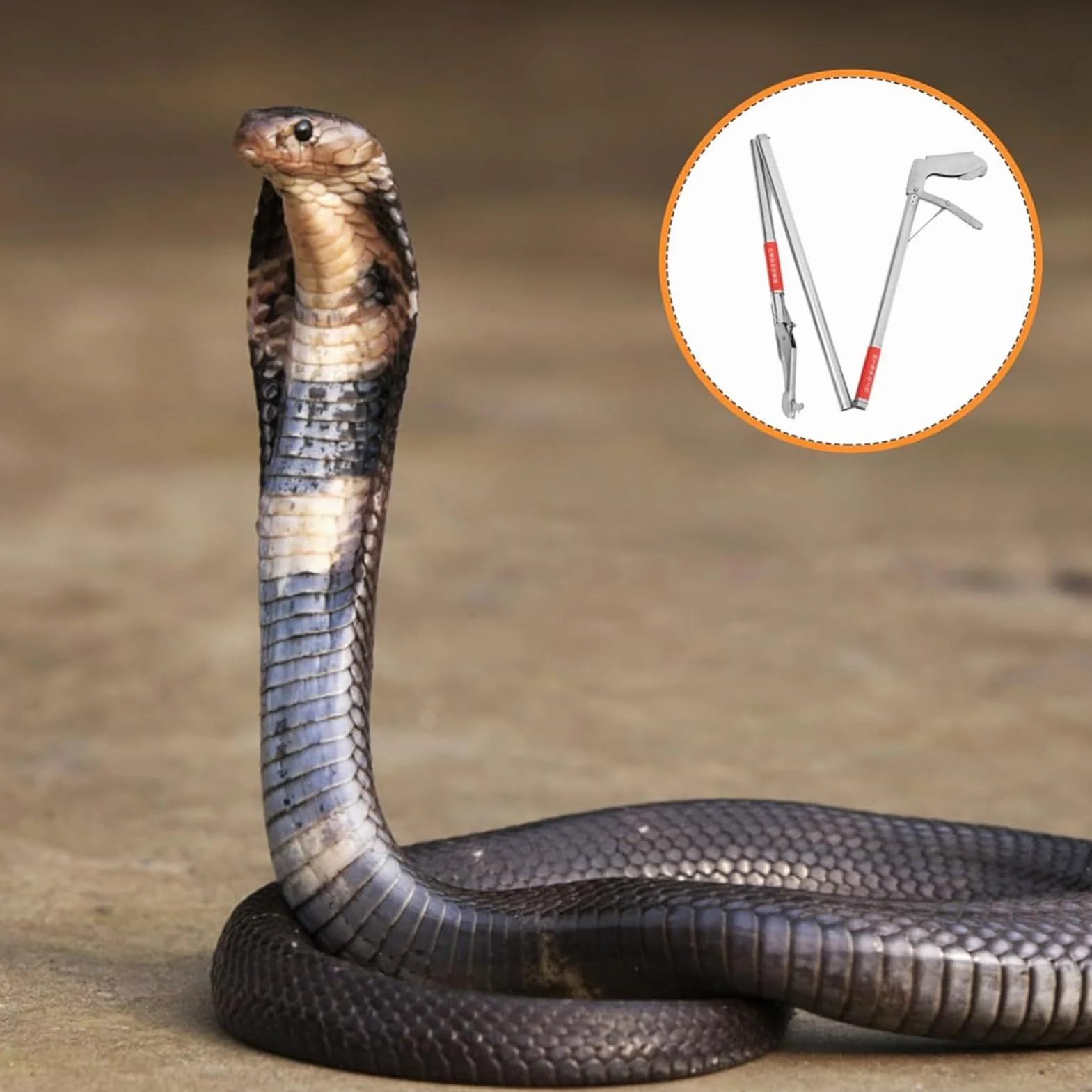 Pinces À Serpent Pliable En Acier Inoxydable 120 Cm - Attrape-Reptiles Robuste