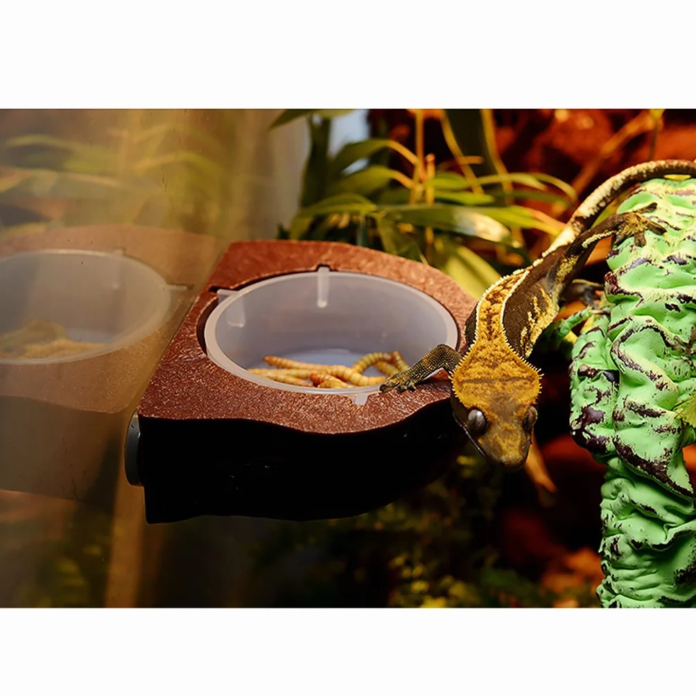Mini mangeoire magnétique pour gecko, nourriture ou eau Vert