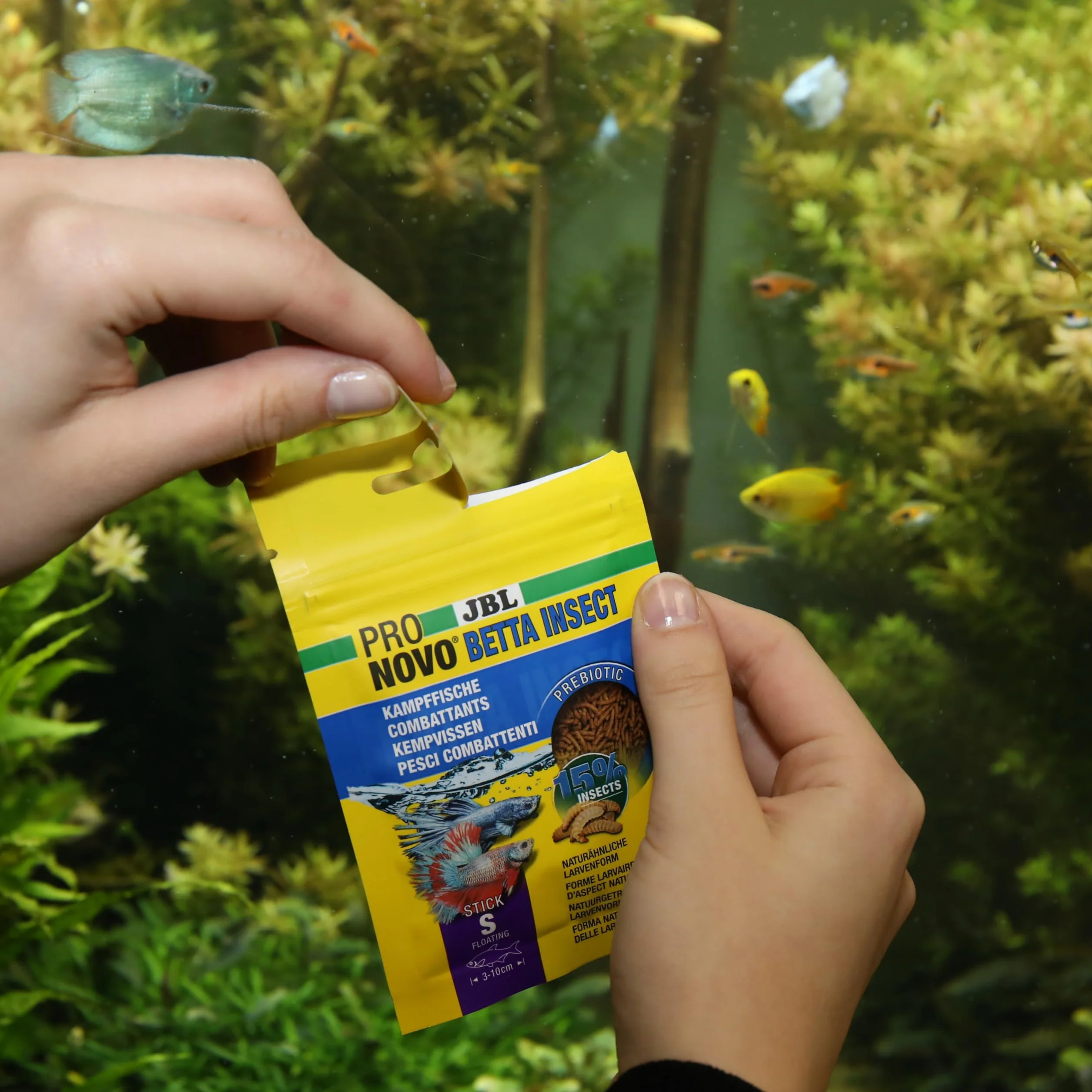 JBL PRONOVO BETTA INSECT STICK Aliment Poissons Combattants 3-10 cm Bâtonnets taille S 20 ml