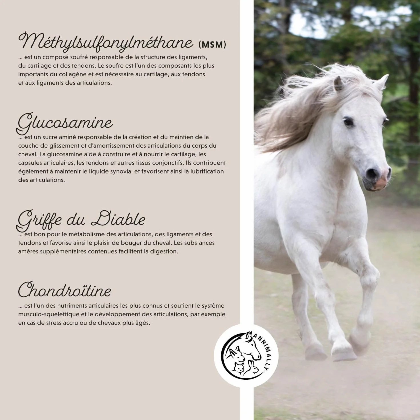 Annimally Complement Chevaux articulations 850g - Griffe du Diable, MSM, glucosamine, acide hyaluronique, chondroïtine