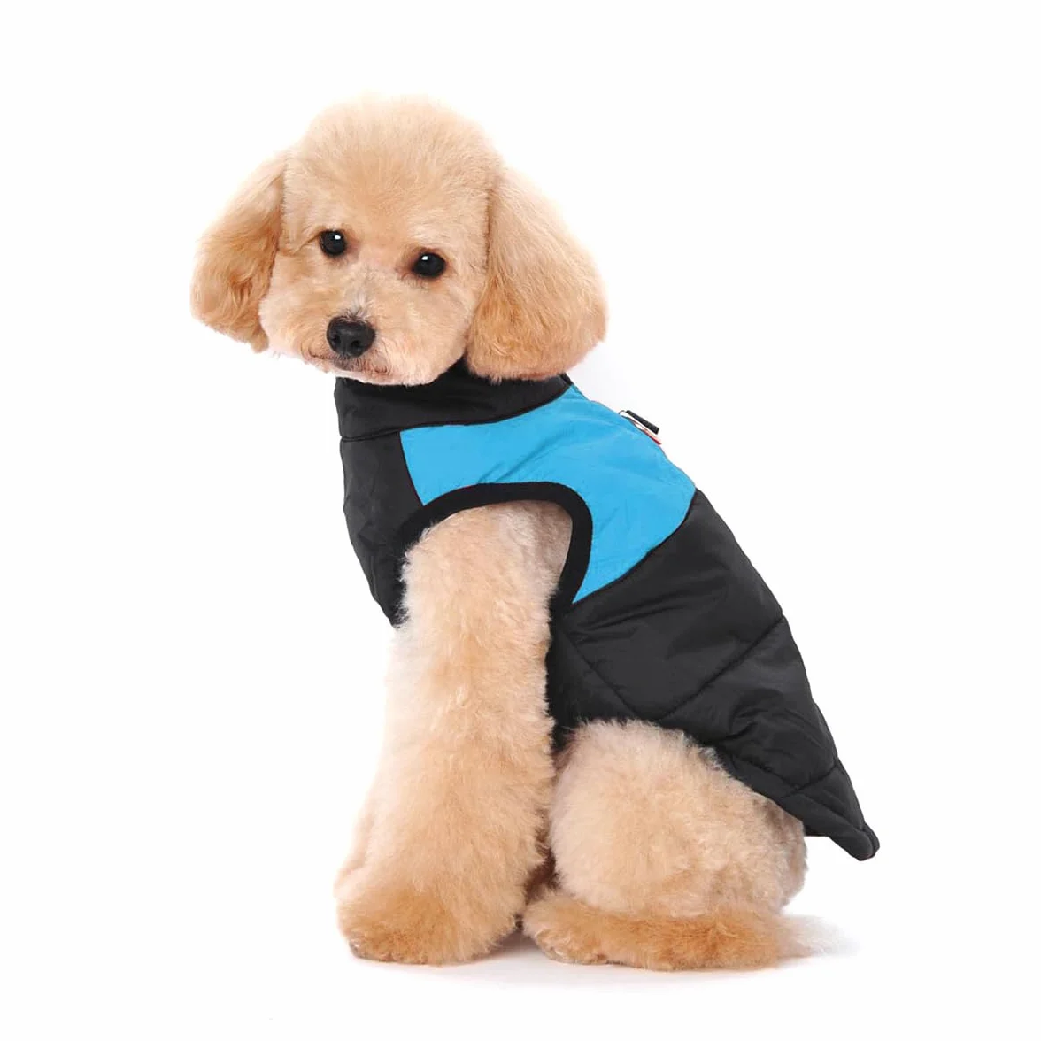 Dog Warm Winter Vest Harnais Manteau pour Petites Moyennes Grandes Chiens