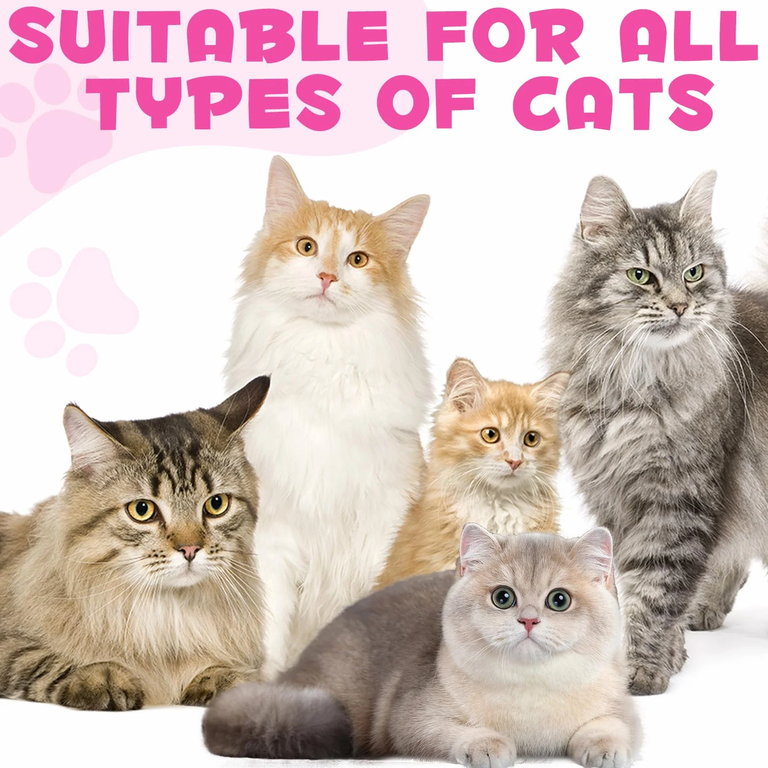 Collagène pour Chats - Soulagement Démangeaisons et Soutien Articulaire - Santé Peau Pelage - 60ml
