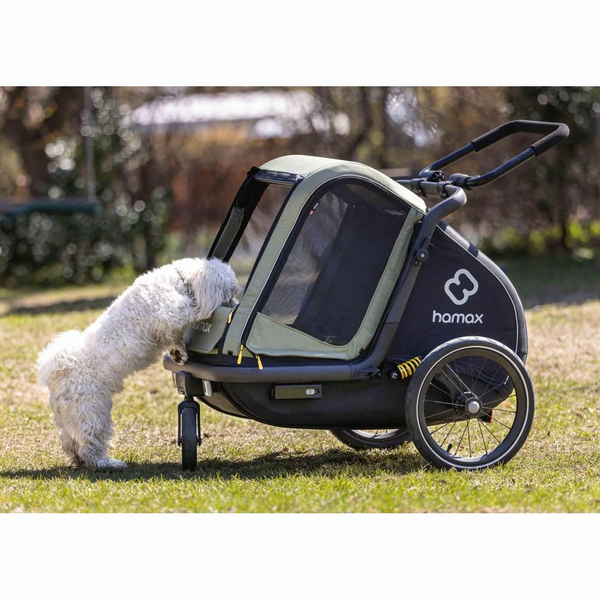 Hamax Remorque Chien Pluto Suspension 3 Positions Kit Poussette Inclus Charge Max 35 kg L 45 kg Sécurité Confort