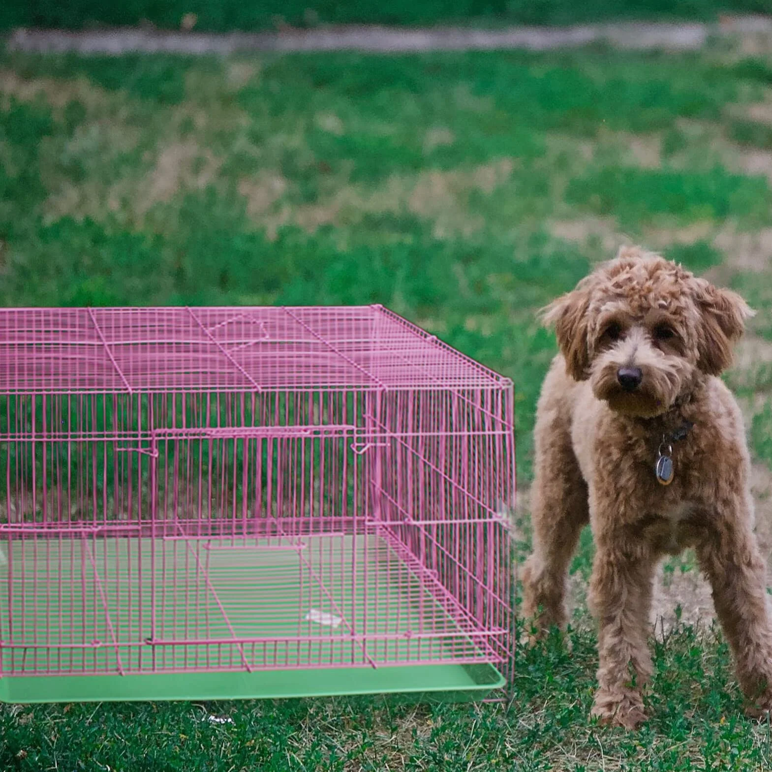 ULTECHNOVO Plateau de Remplacement en Plastique Vert pour Cage d'animaux, Résistant aux Marques la Rouille, Adapté pour Litière et Accessoires pour Animaux Domestiques