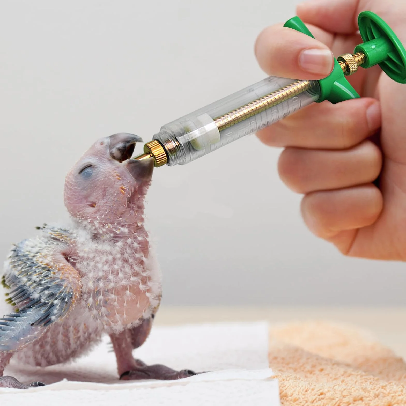 Seringue Pour Aliments Pour Oiseaux Avec Tuyau - Kit Alimentaire Précis Pour Petits Oiseaux Et Animaux
