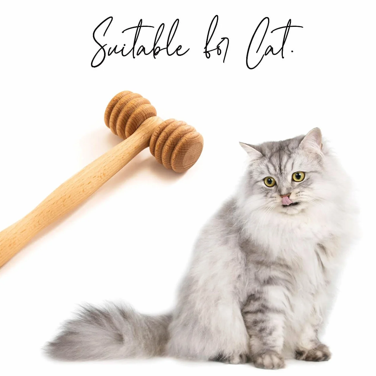 Masseur en Bois pour Animaux Rouleau de Massage Chien Chat Cheval Brosse Poils Courts Longs