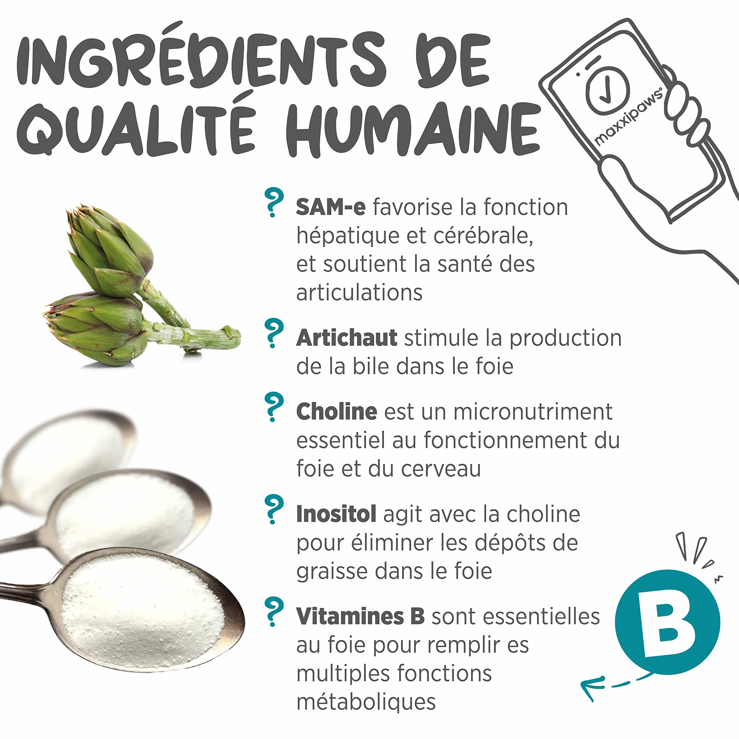 maxxiSAMe pour le Soutien du Foie félin et Dysfonctionnement cognitif Chats âgés – Sam-e Supplément Chats – Poudre 90 g