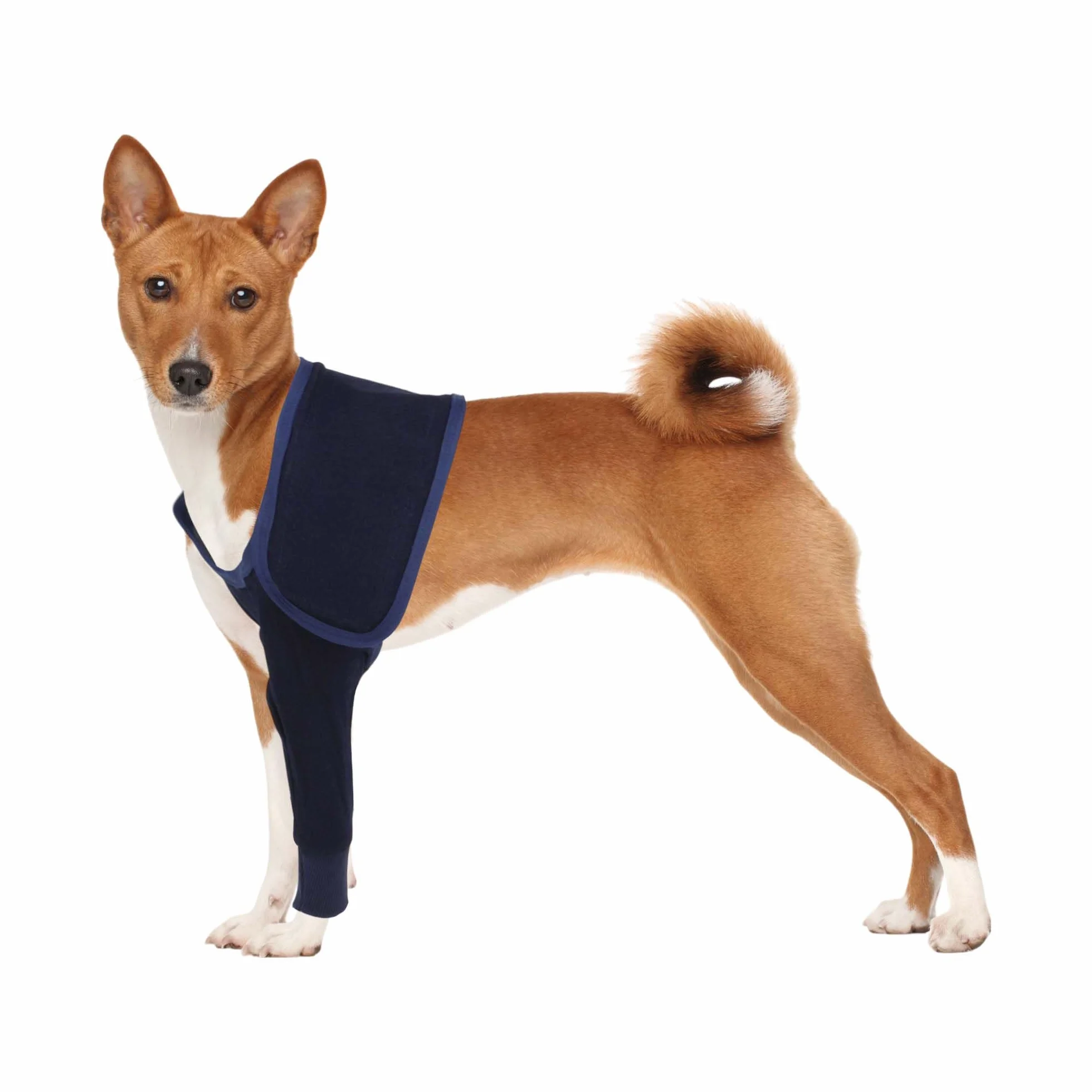 Manchon pour Patte Avant Gauche Chien, Protège-Patte Avant Récupération, Bandage Protecteur, L, Bleu