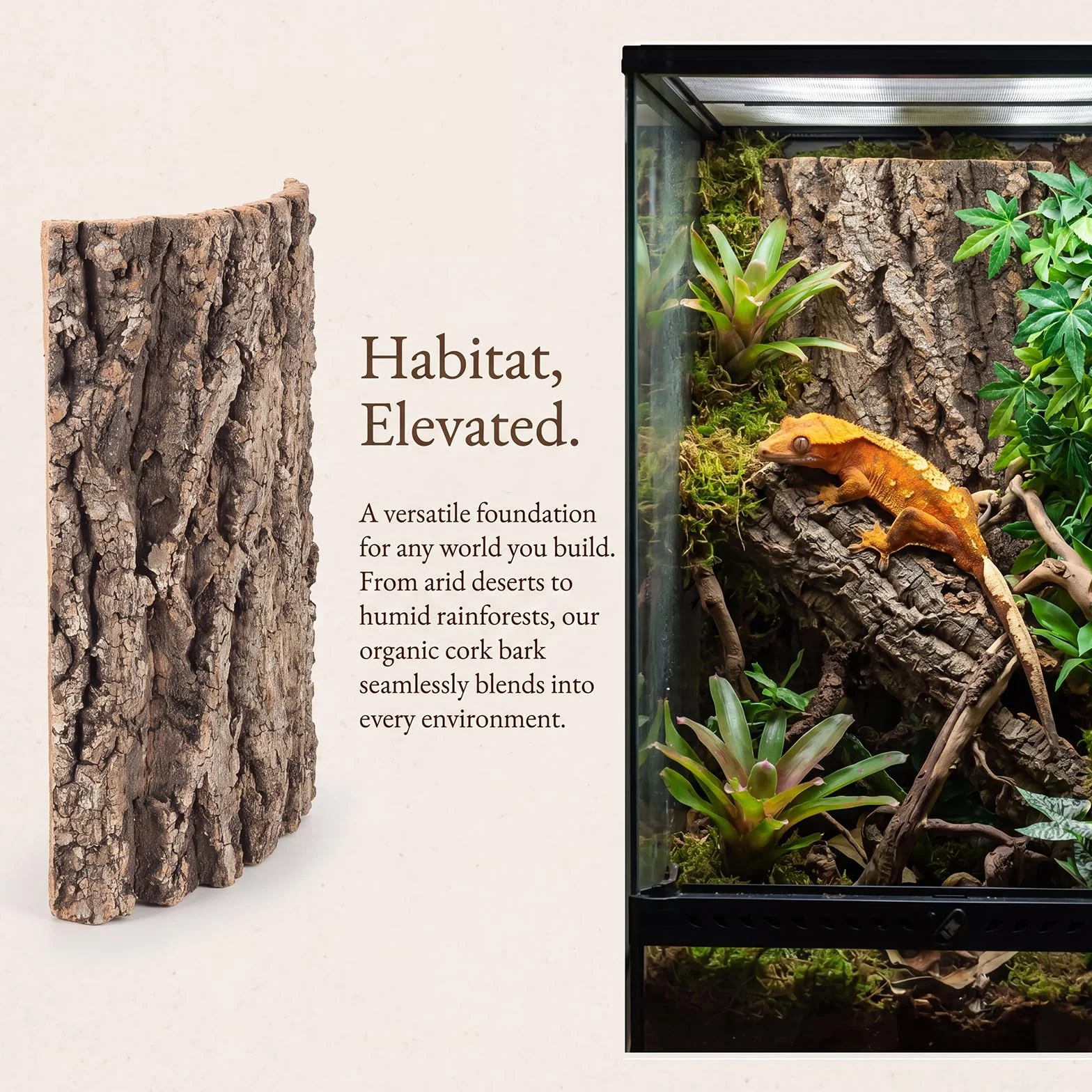 Panneau Arrière de Terrarium en Écorce de Liège Naturelle 30 x 20 cm pour Reptiles