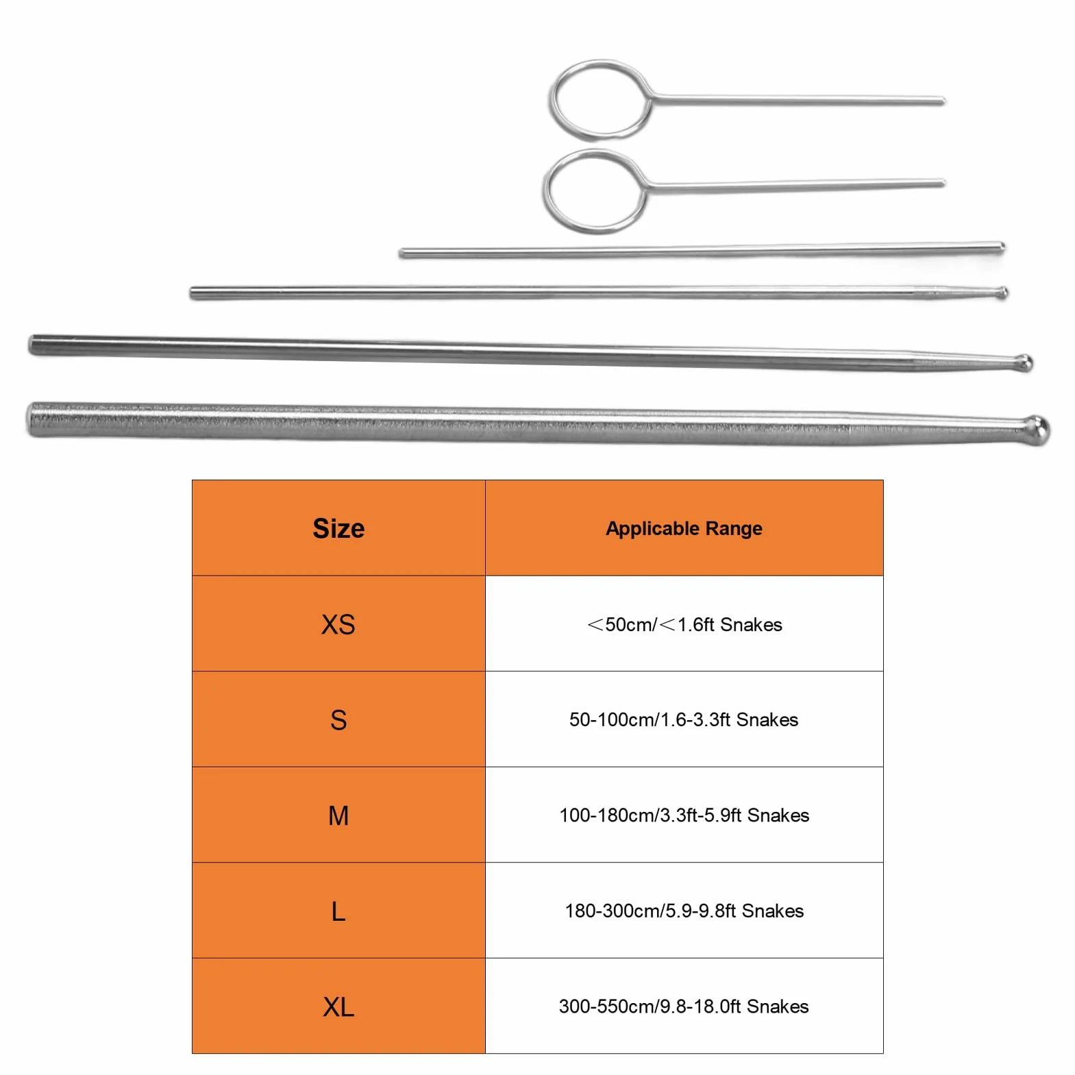 Sonde de sexage de Serpent en Acier Inoxydable 5 Tailles avec boîte de Rangement pour Reptiles