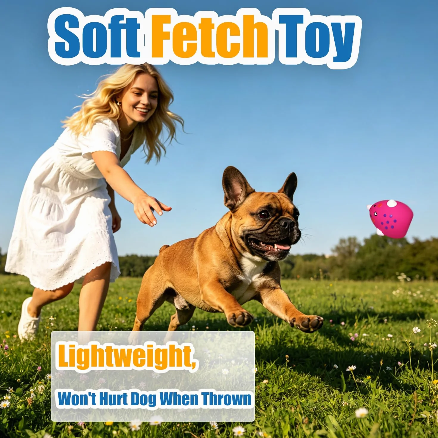 HOLYSTEED Jouet Chien Couineur 6 pièces, Balle Couineuse en Latex pour Petit Chien