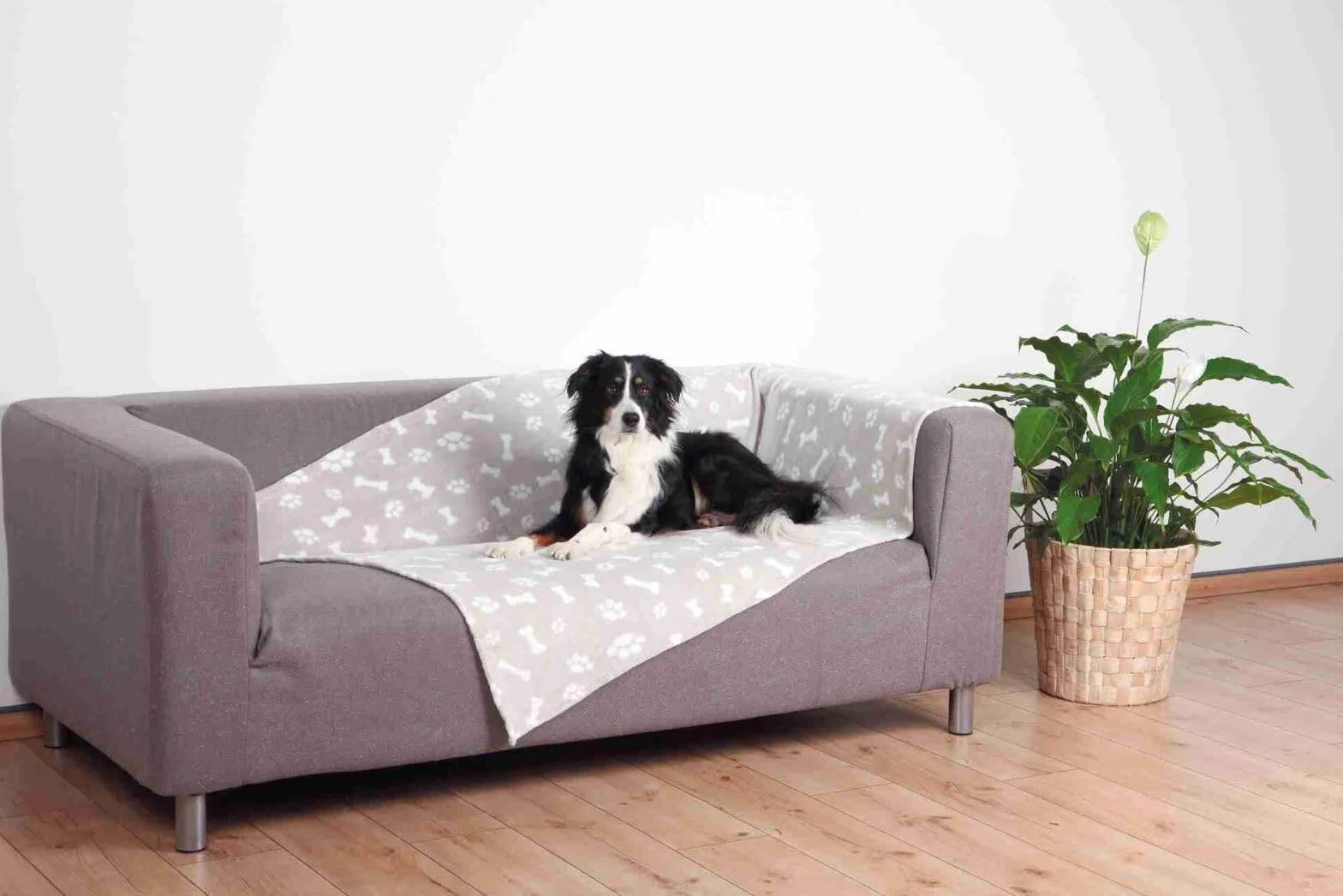 Trixie Kenny Blanket for Dog, 150 x 100 cm, Beige