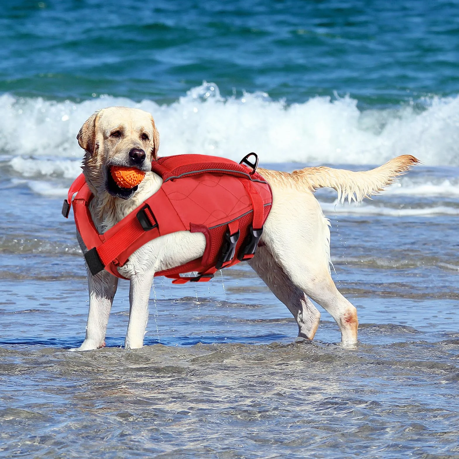 KONVINIT Gilet de Sauvetage pour Chien - Gilet de Flottaison Réglable avec Poignée et Bandes Réfléchissantes