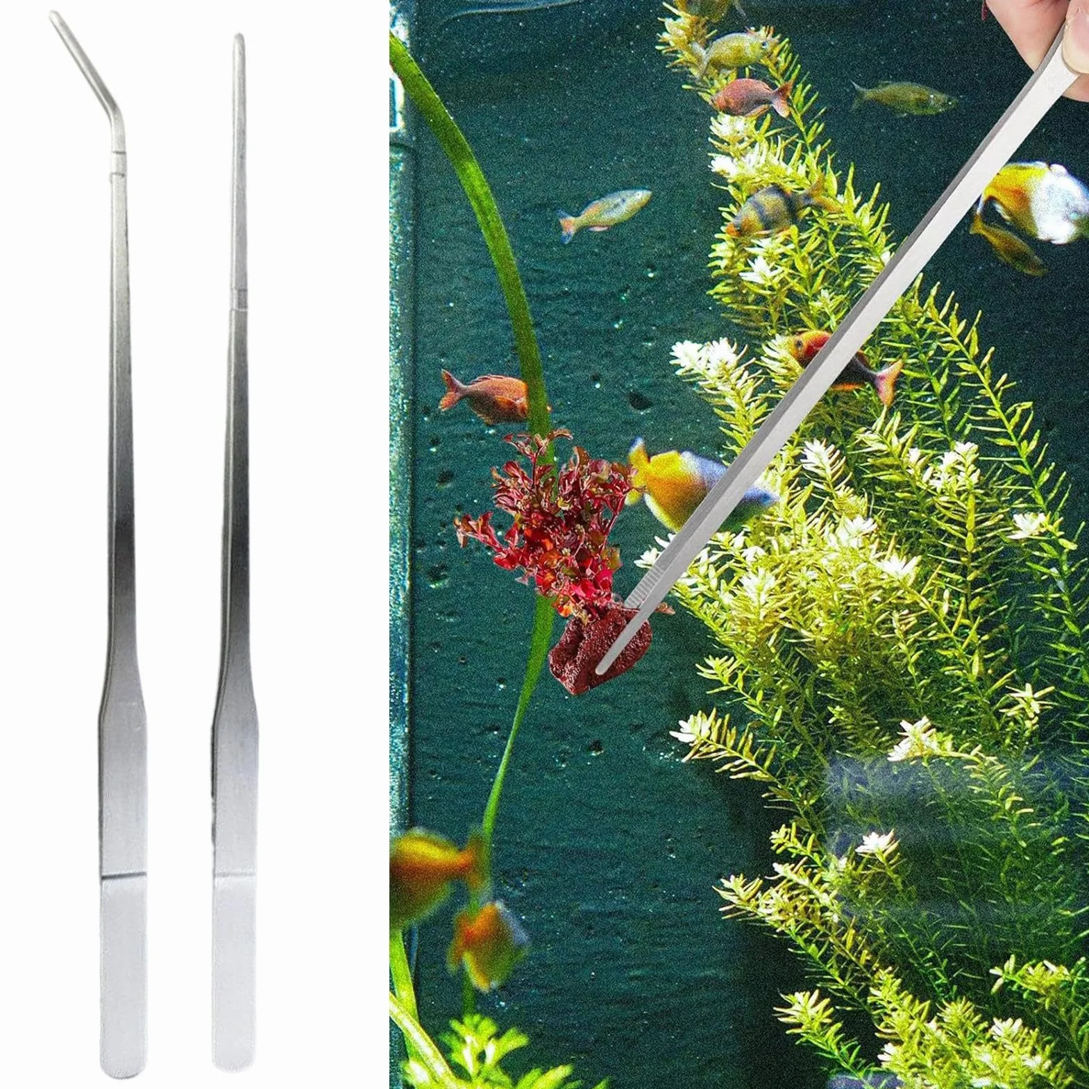 Pinces Longues pour Aquarium Reptiles Nourrissage, Ergonomiques pour Gecko Dragon Barbu Lézard Tortue
