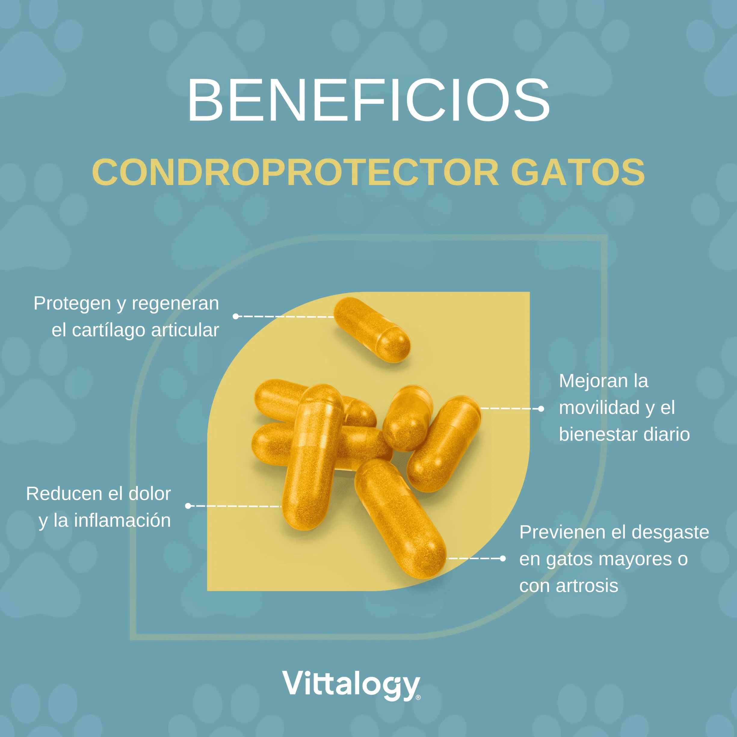Chondroprotecteur chats anti-inflammatoire naturel collagène chondroïtine hyaluronique curcuma complément alimentaire articulations 120