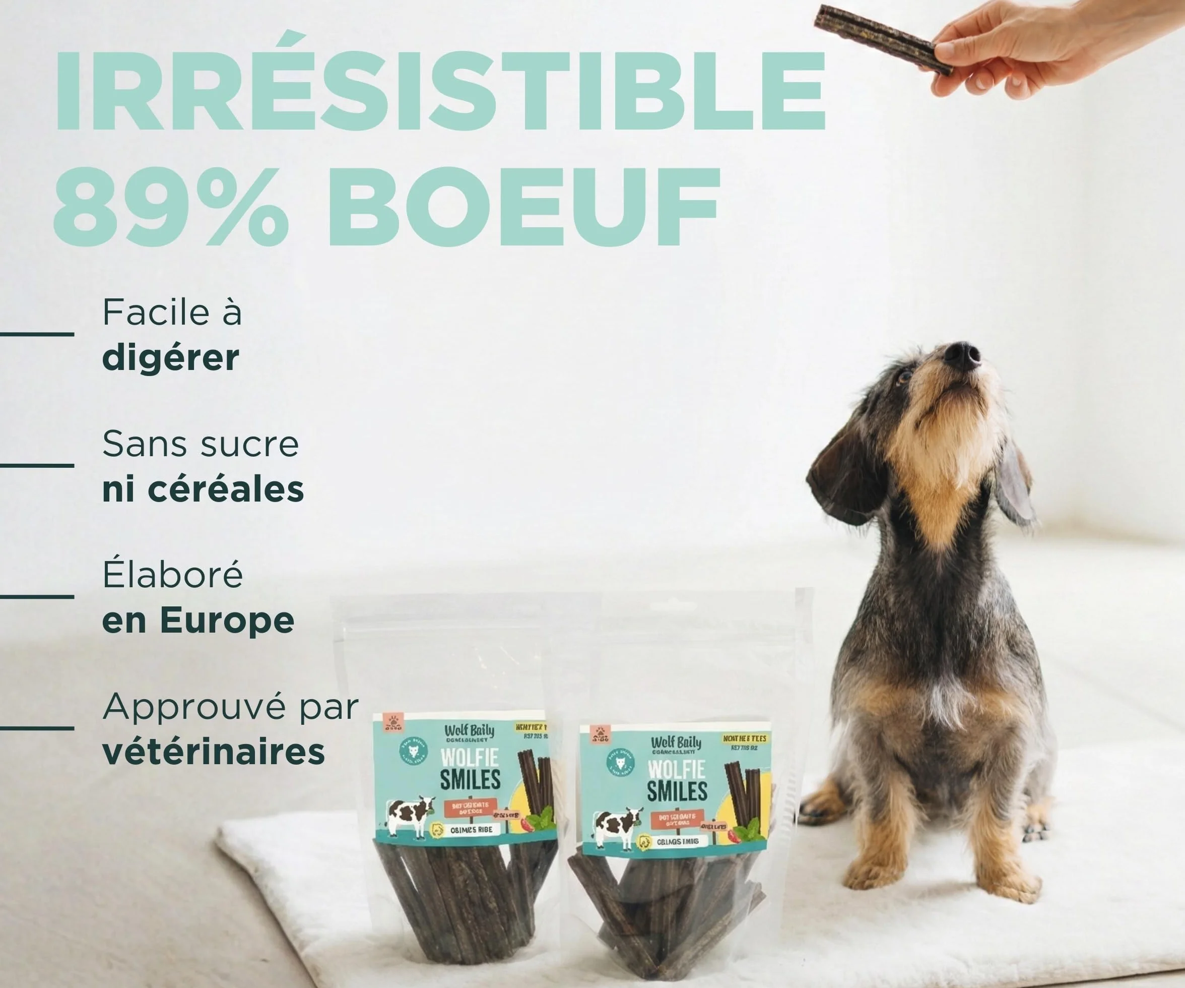 Wolf Belly Stick Dentaire Chien Naturel 28 unités 89% Bœuf Origan sans Céréales Hygiène Bucco-Dentaire Haleine Fraîche Riche en Protéines