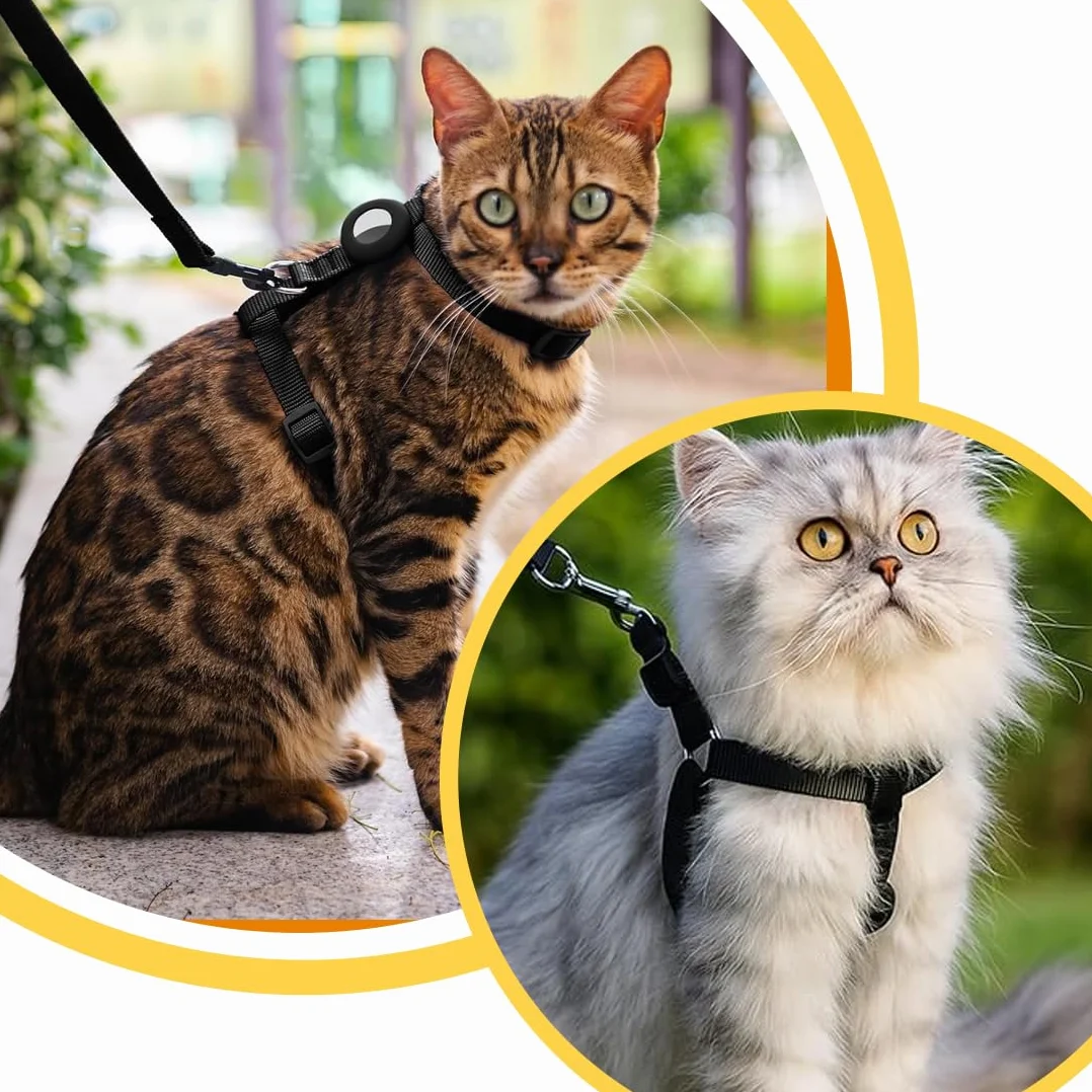 Harnais pour chats réglable noir 120x1cm, harnais et laisse anti-fuite pour chaton petits animaux