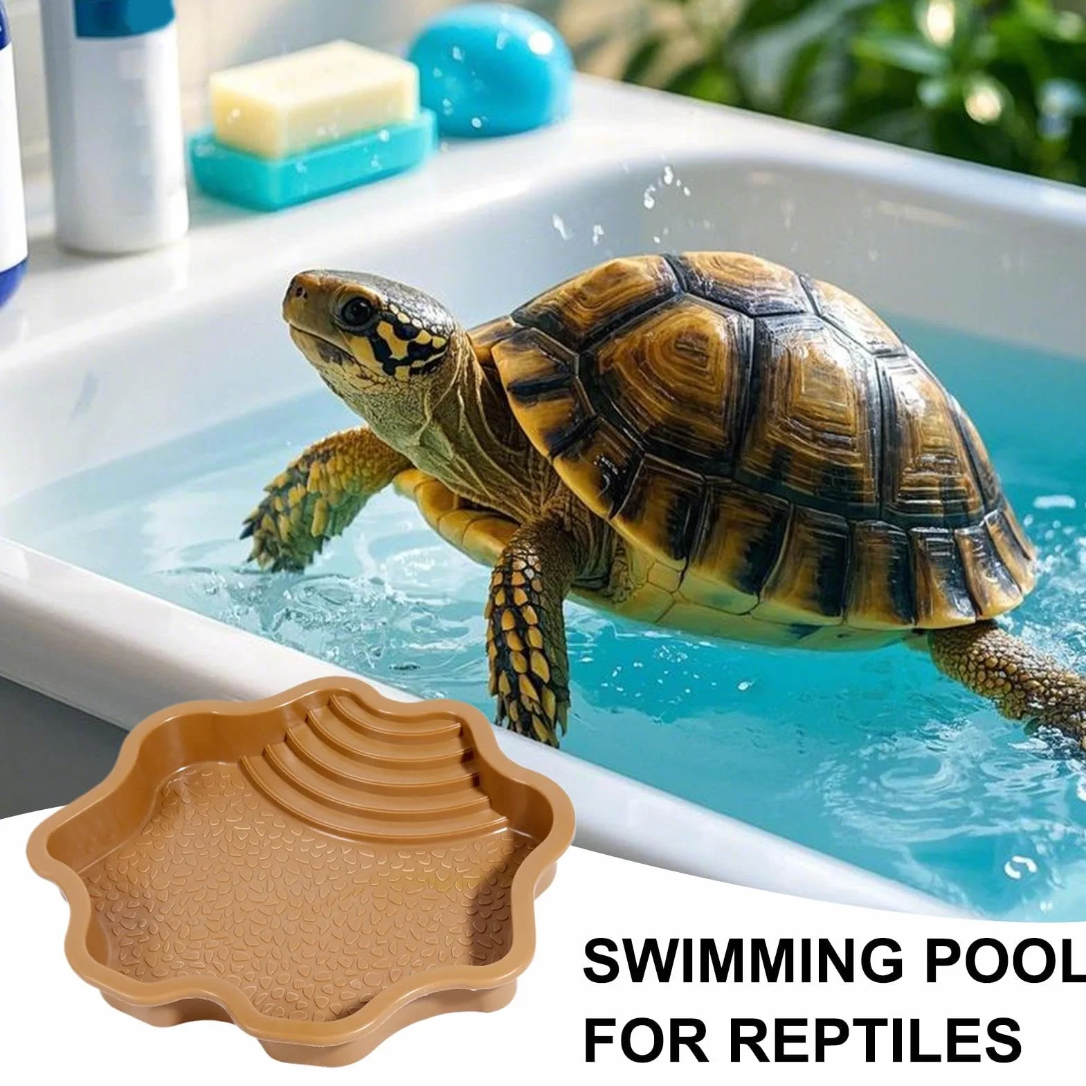 Piscine de Bain pour Tortue | Mangeoire à Eau pour Tortue avec Rampe – de trempage pour Tortue pour Reptiles