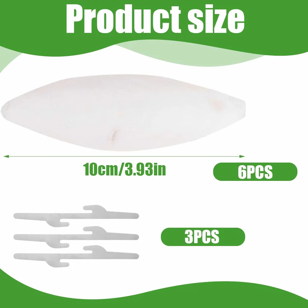 Os de Seiche pour Oiseaux, Tortues et Reptiles, 10cm, 6 Pièces avec Boucles