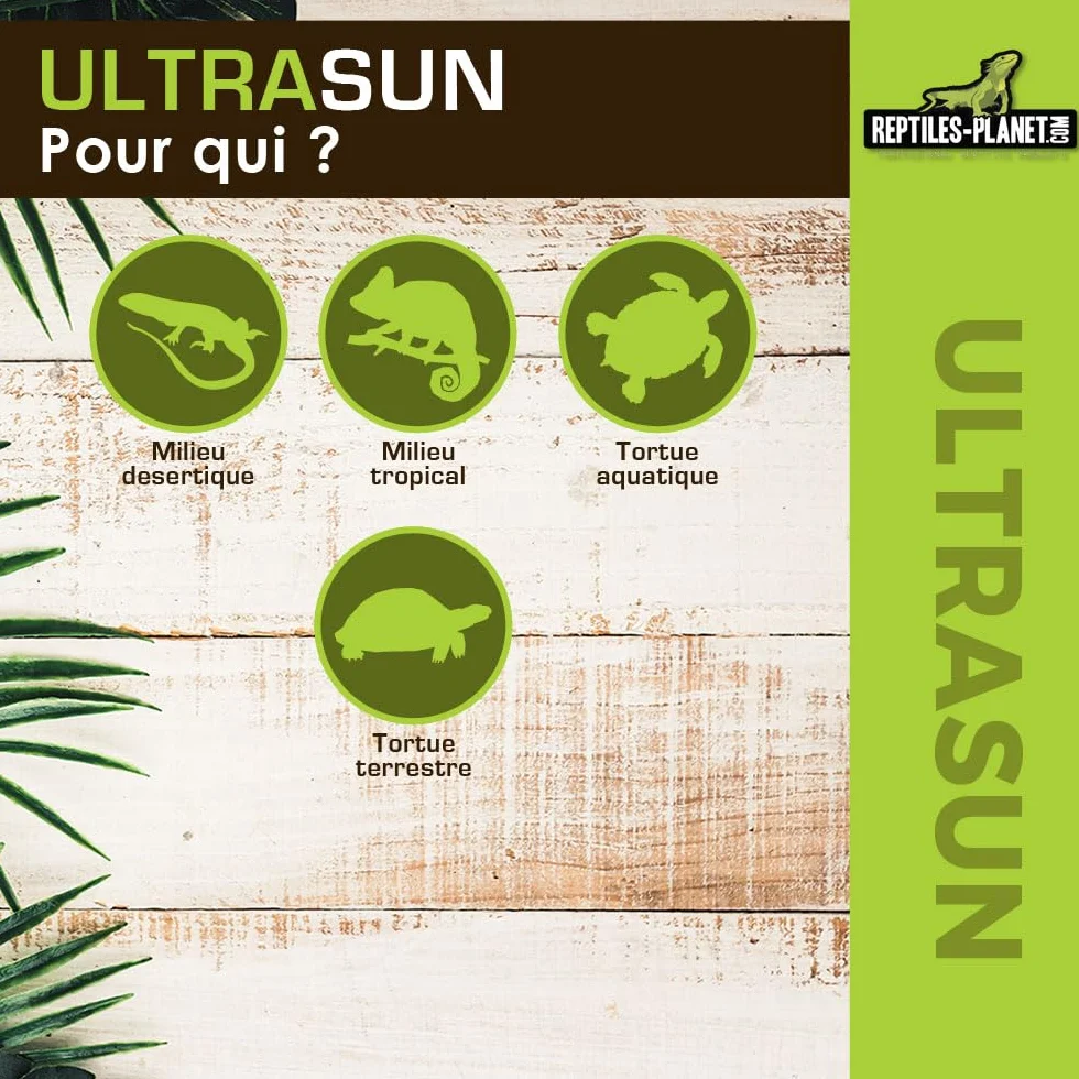 Reptiles Planet Ultrasun 100 W Ampoule UVA UVB pour Reptiles