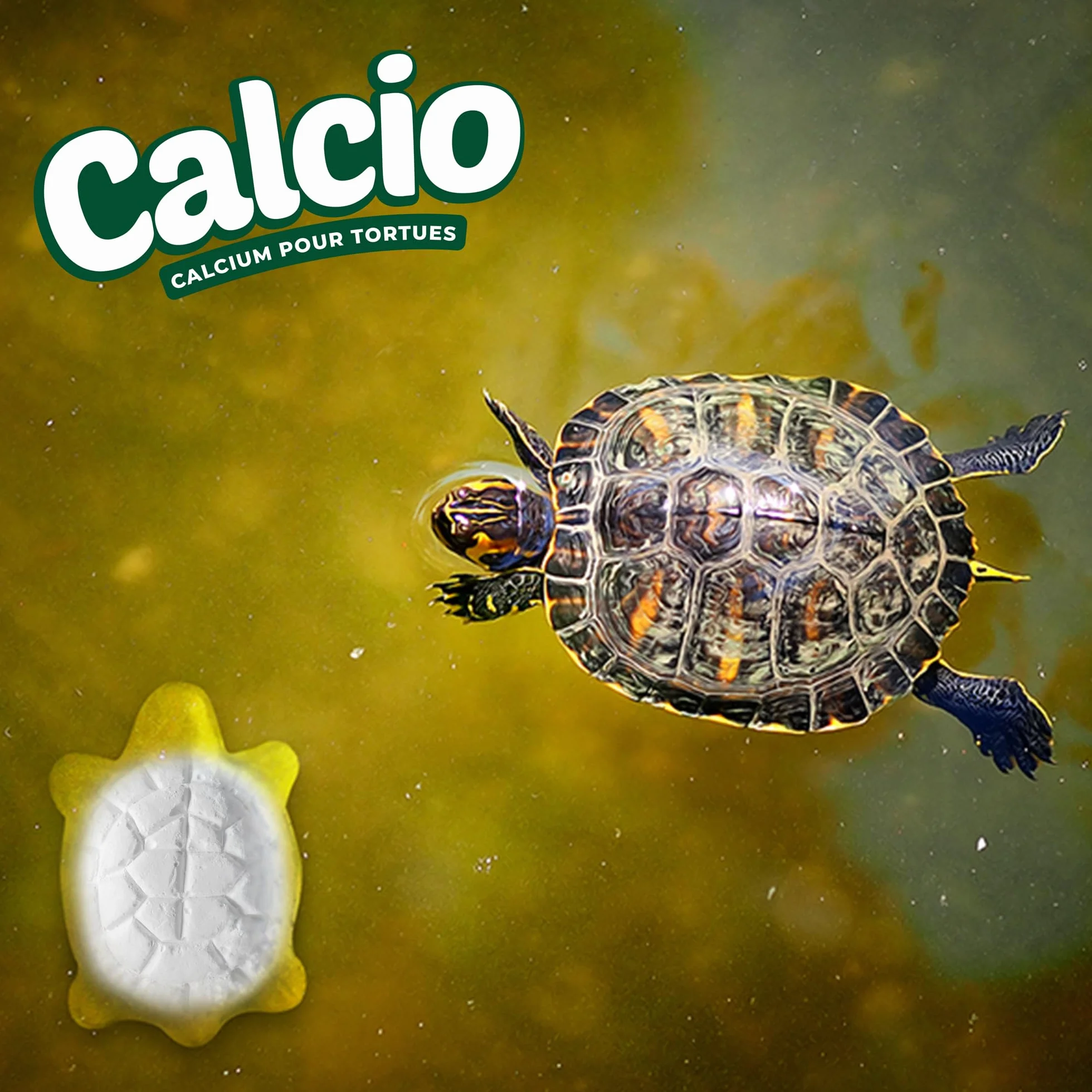 AF Os de Seiche Tortue Alternatif, Pack 8 Pièces Calcium Tortue Terrestre et Aquatique, Bloc Minéral Libération Lente