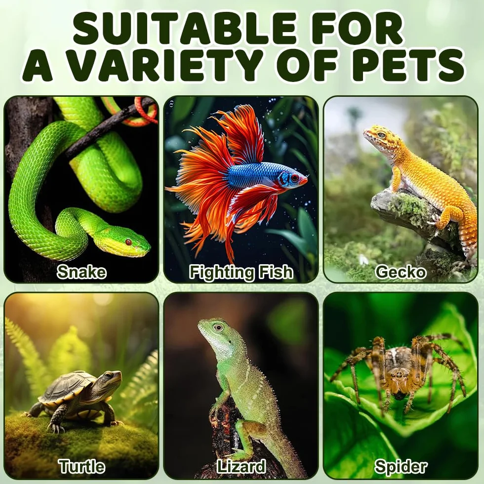 Tapis Chauffant Terrarium 28W 28x28 cm Chauffage avec Réglage Température Coussin pour Reptiles Plantes