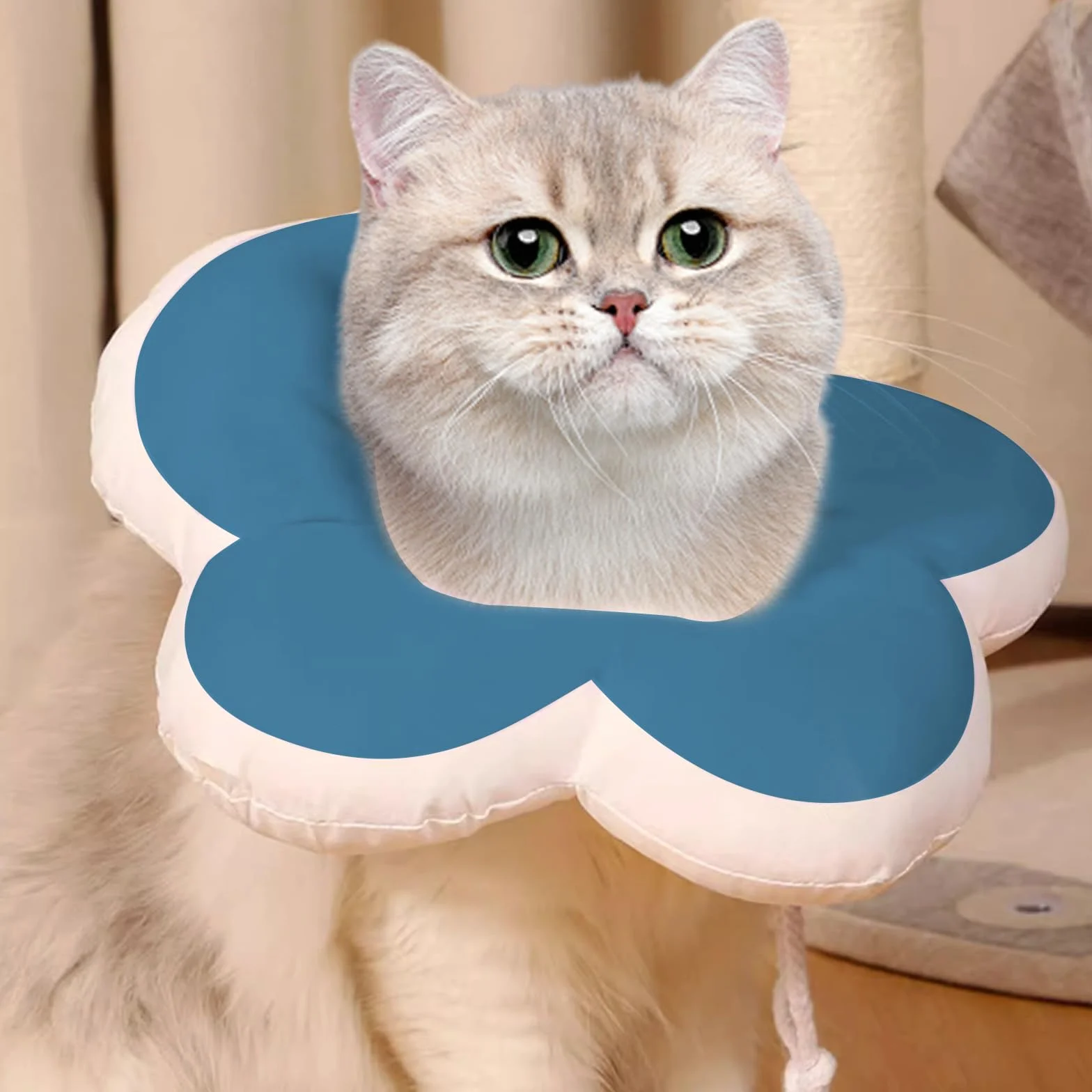 Collier Chat Ajustable Anti-Léchage Élisabéthain Post-Opératoire Bleu Pierre Précieuse