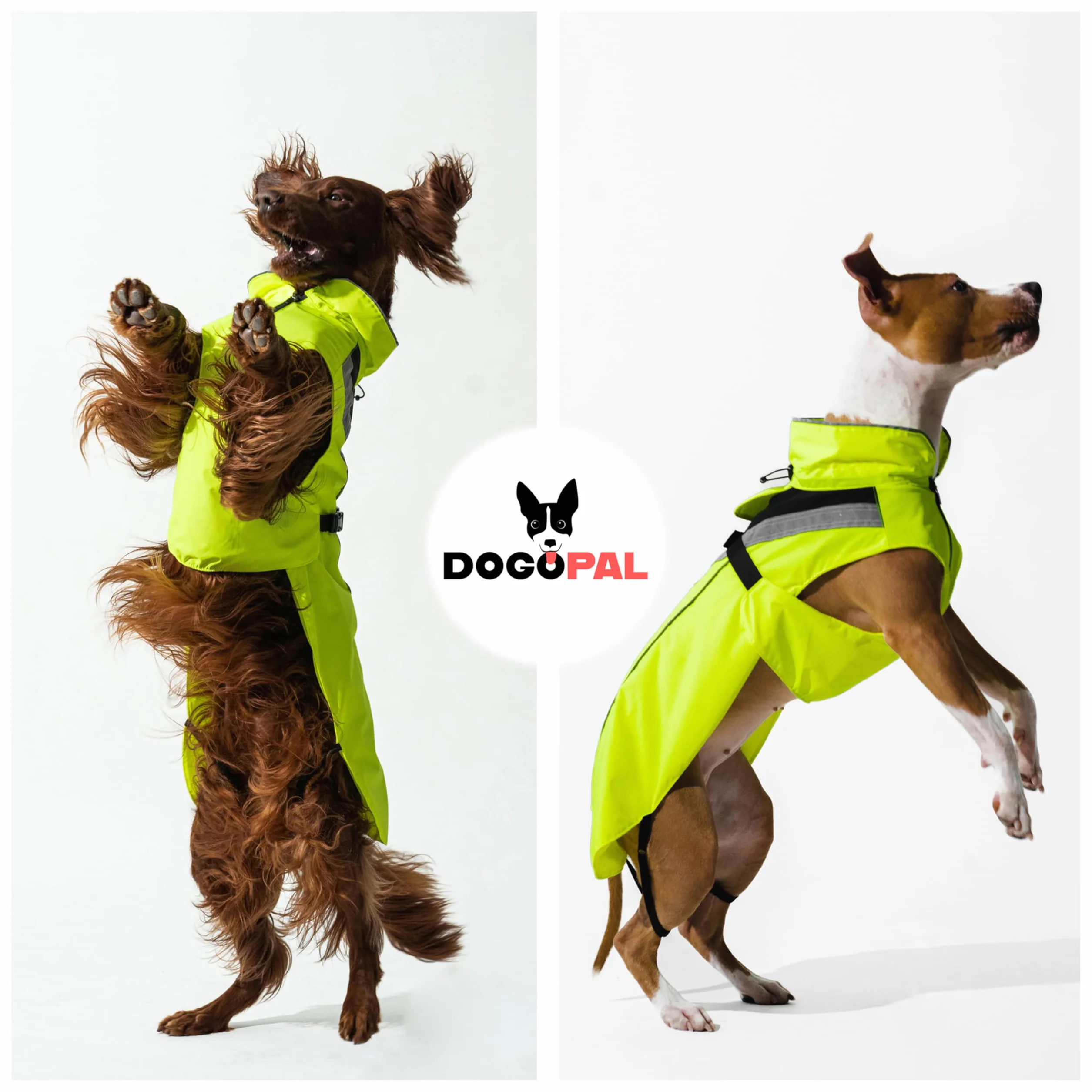 DOGOPAL Imperméable Chien - Manteau Imperméable Léger avec Surface Réfléchissante et Ouverture Harnais - Jaune, M