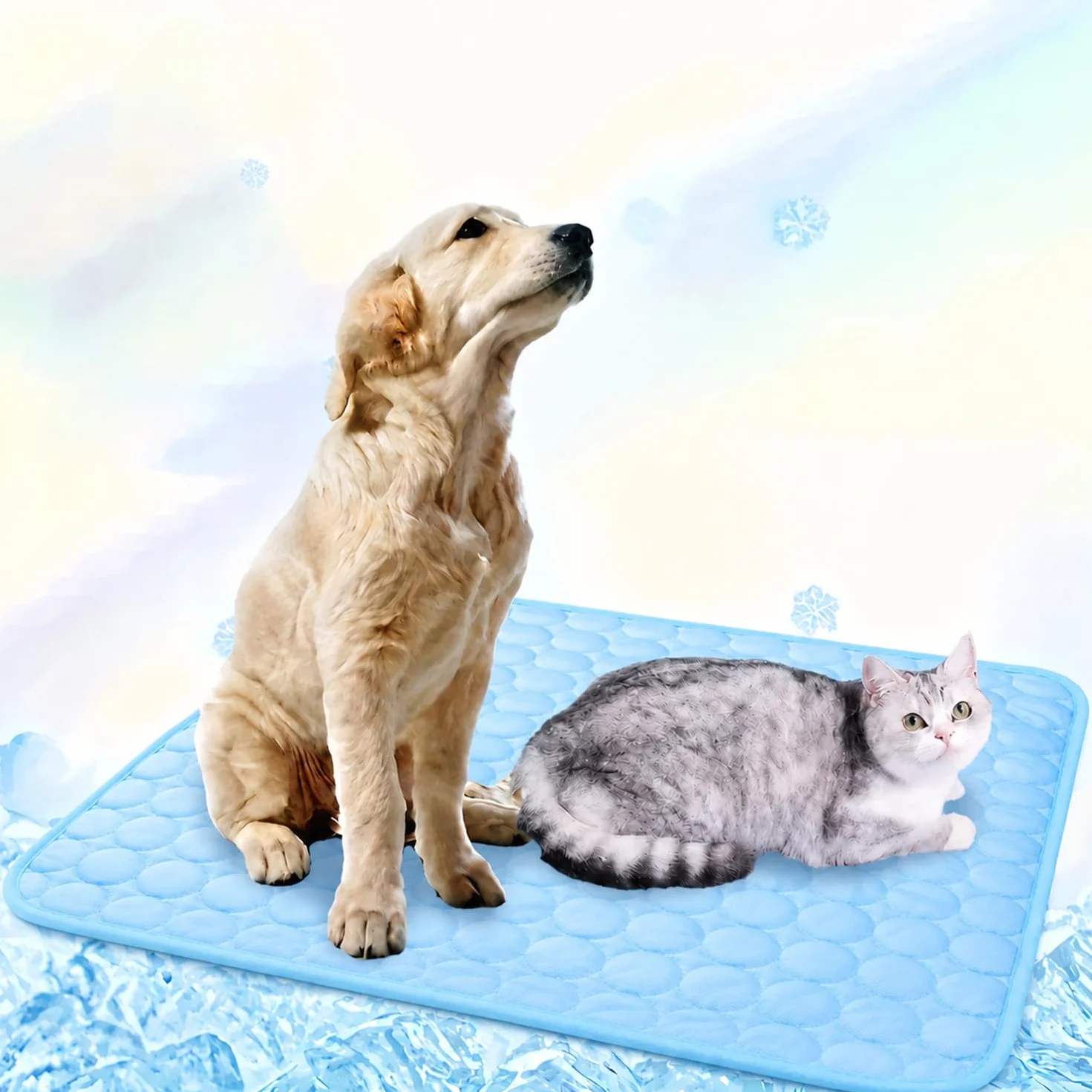 Tapis Rafraîchissant Auto-Refroidissant pour Chien 55x70cm Bleu Antidérapant Lavable