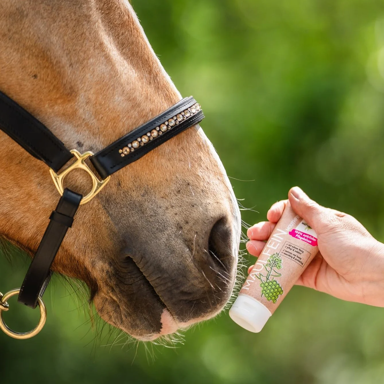 Bense & Eicke MaulFein Baume de soin naturel pour chevaux 100 ml