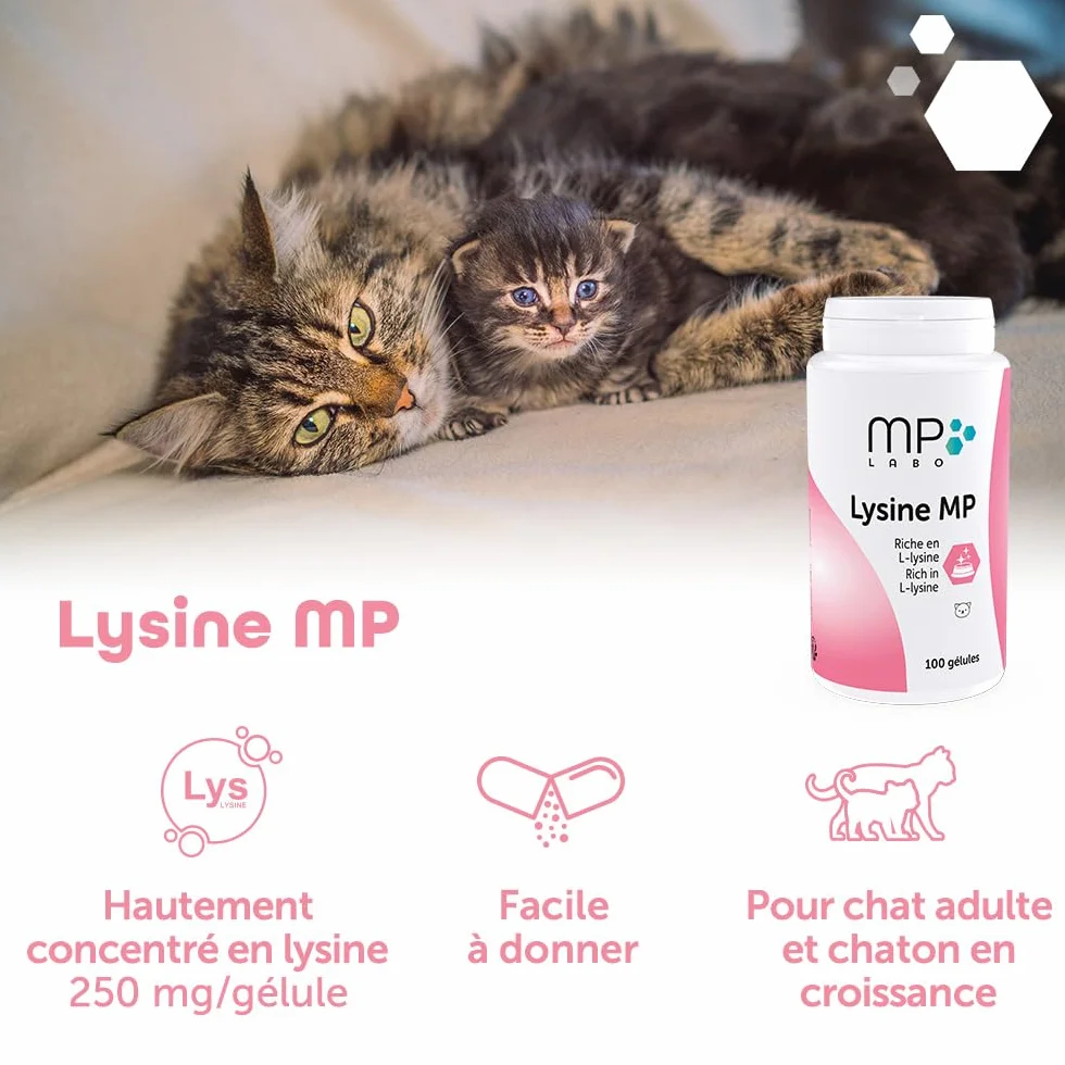 MP Labo Lysine MP 100 Gélules pour Chats et Chatons - Riche en L-Lysine