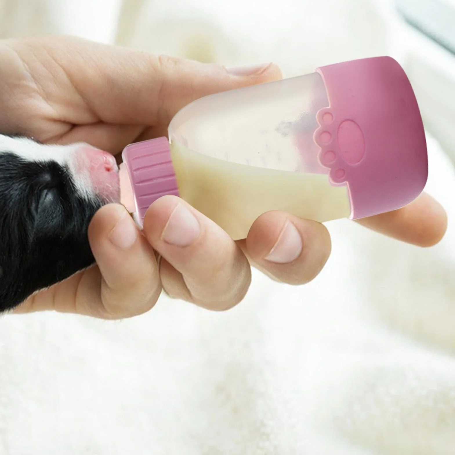 Biberon d'alimentation pour chaton 100 ml - Mangeoire à lait avec tétine et brosse