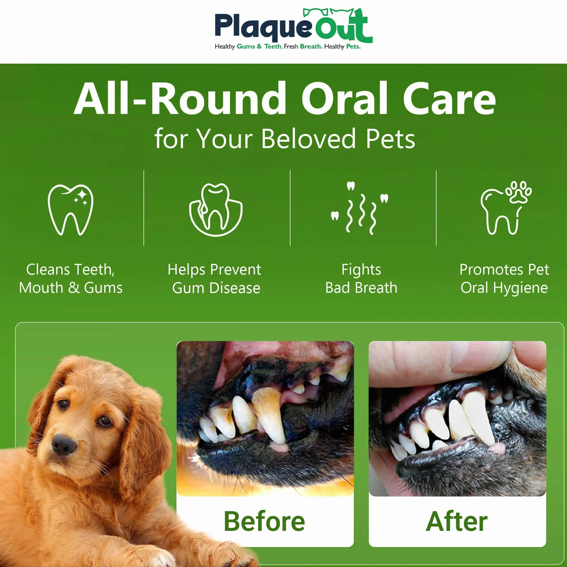 Plaque Out Pot 450 g – Détachant de plaque pour chiens et chats – Poudre d'algues 100 % naturelle et biologique
